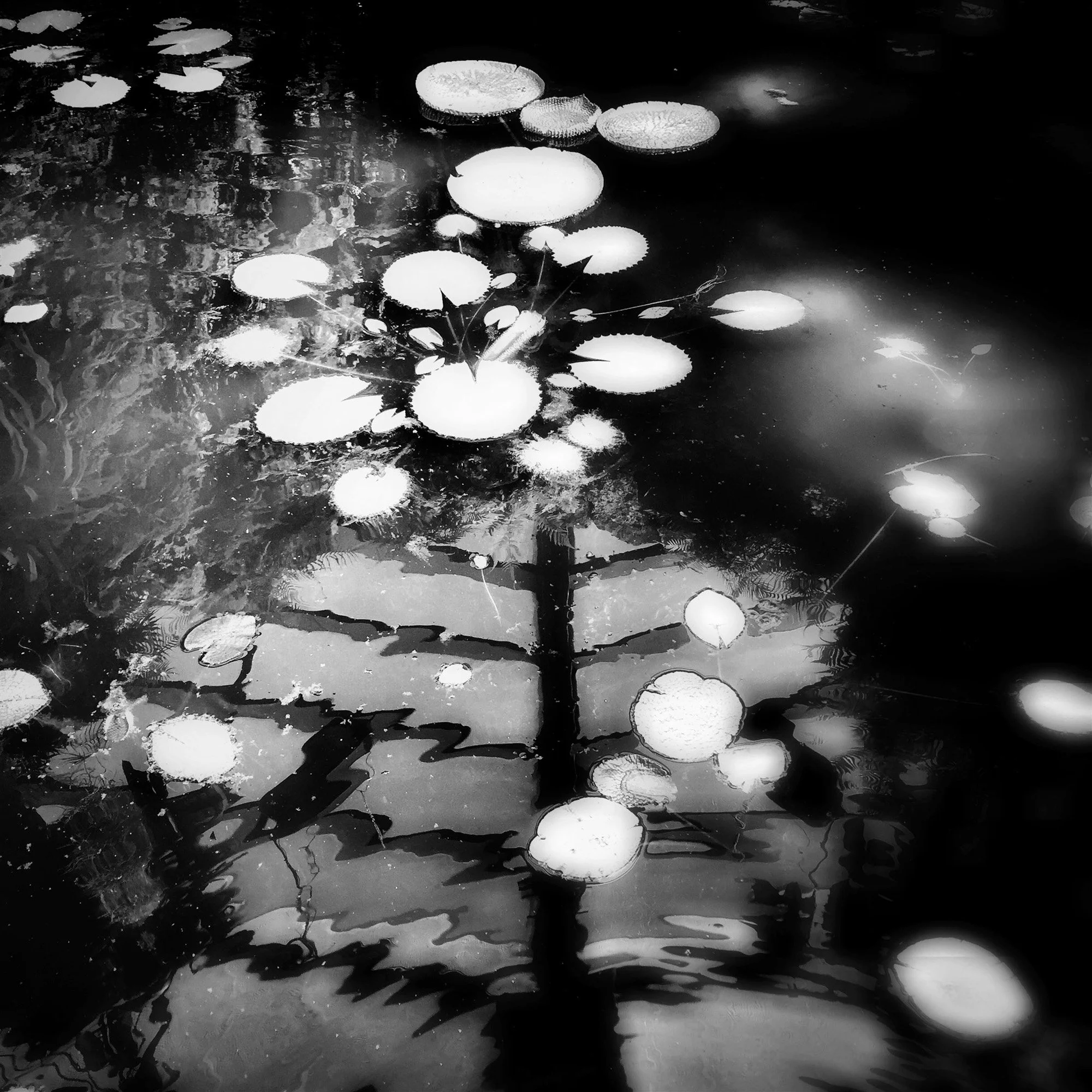  claudia-chianese-photography-terra-10.jpg
