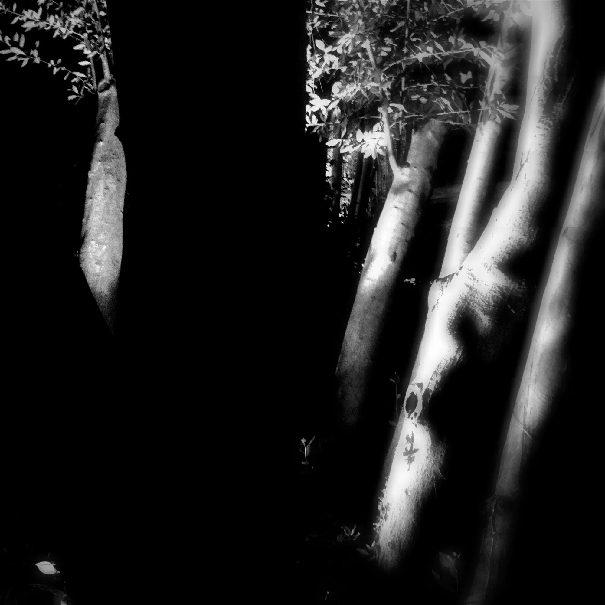  claudia-chianese-photography-terra-8.jpg