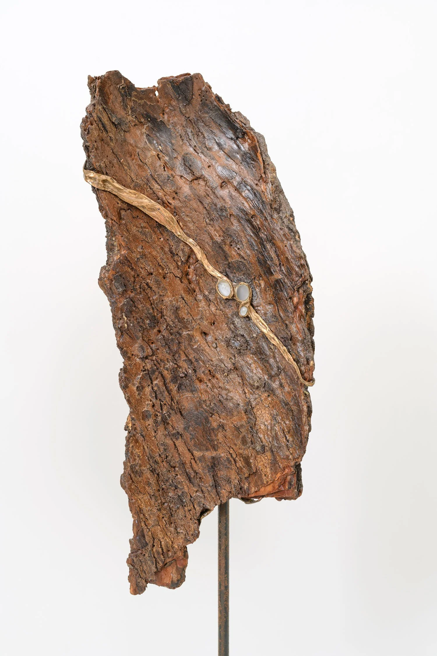  claudia-chianese-sculpture-evoluzione-2.jpg