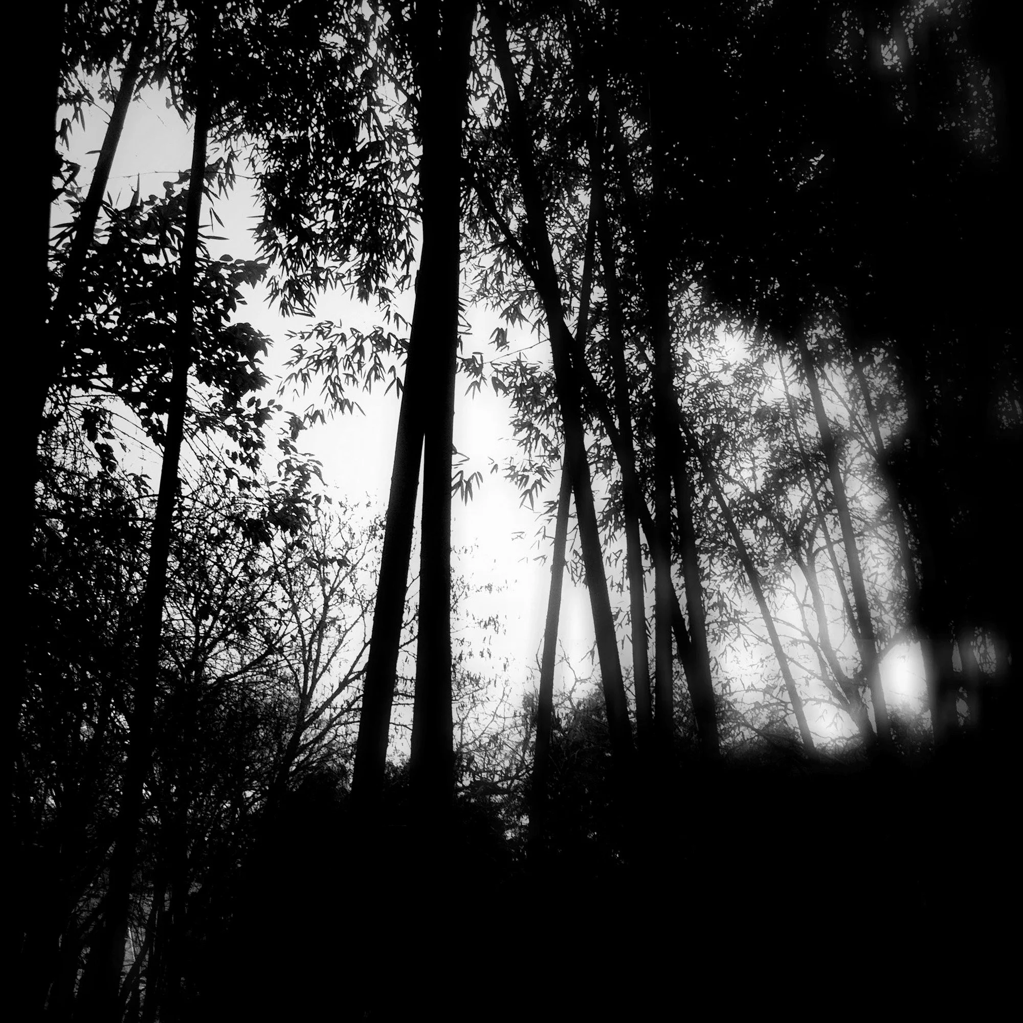  claudia-chianese-photography-terra-7.jpg