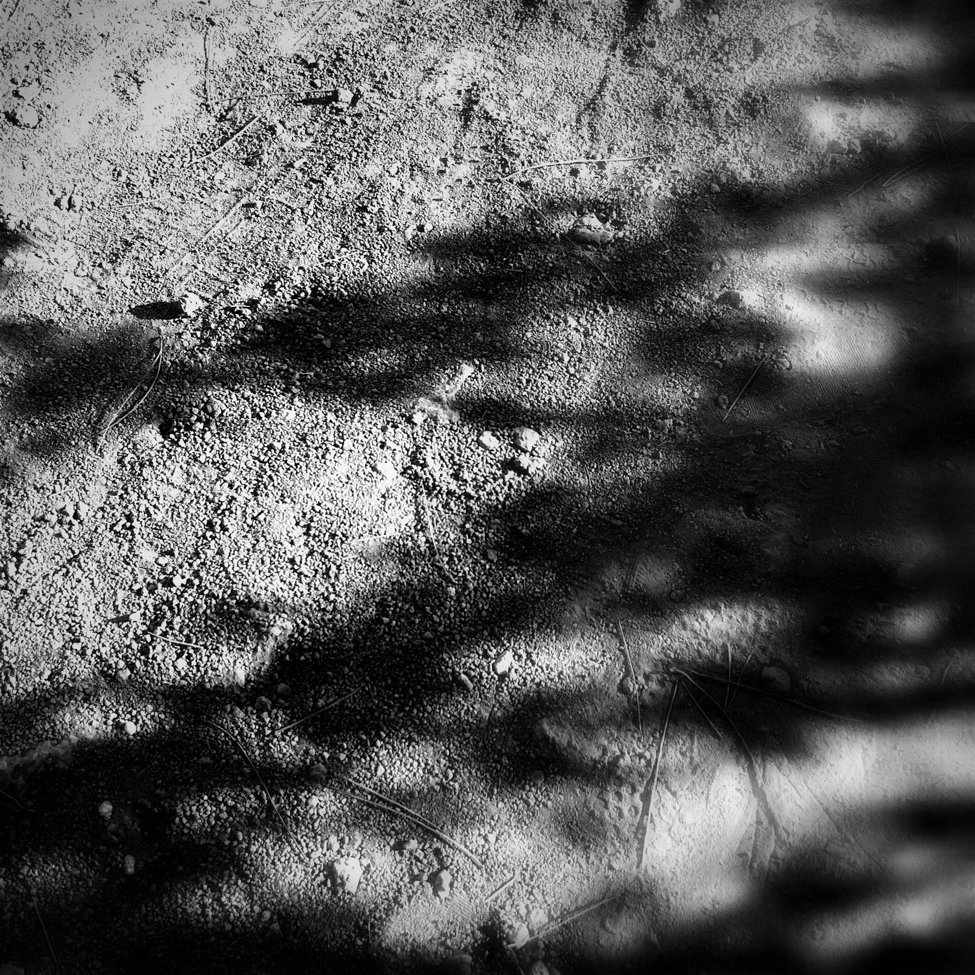  claudia-chianese-photography-terra-4.jpg