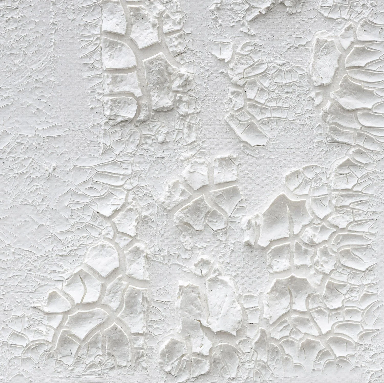 claudia-chianese-painting-vox arborium-iv-detail-1.jpg