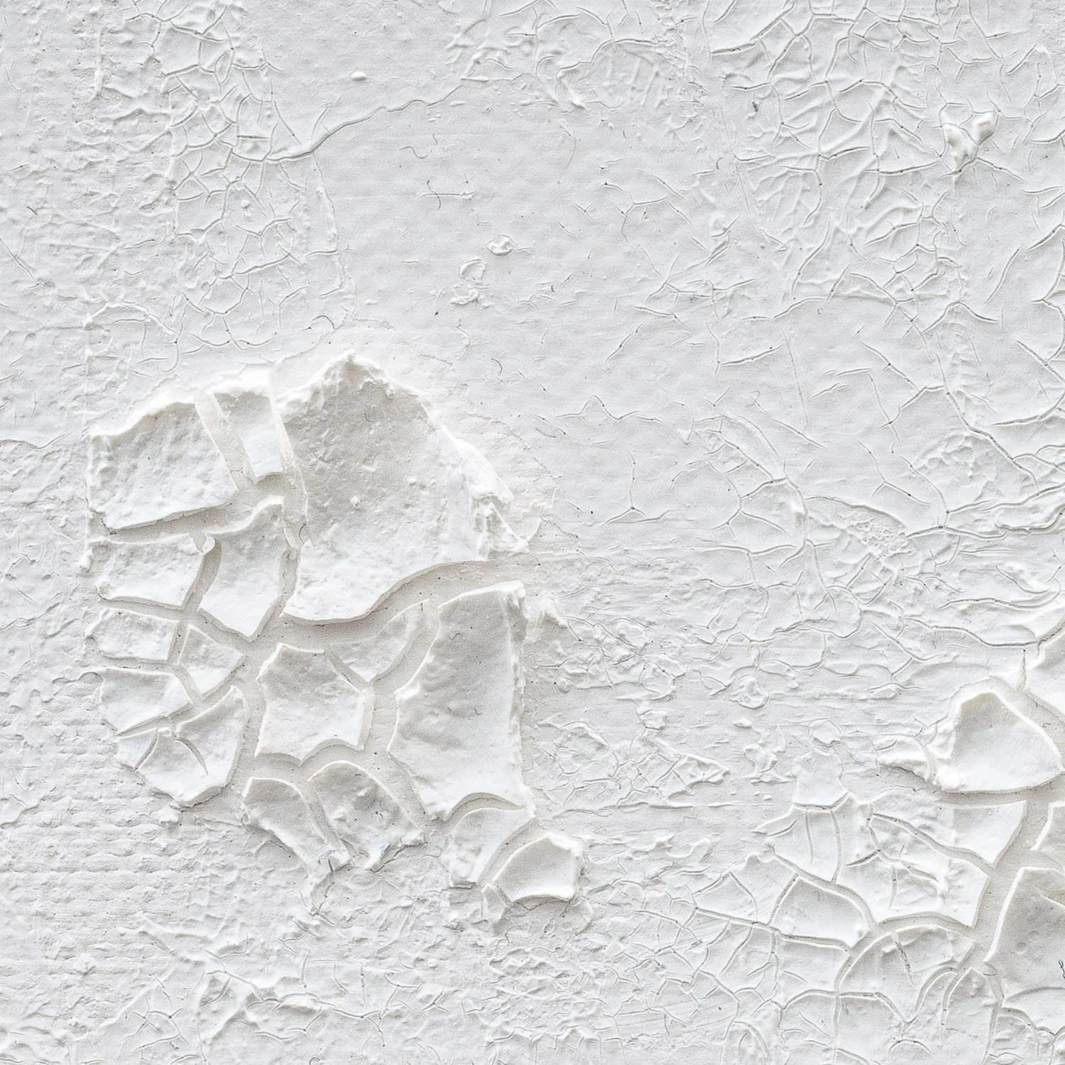 claudia-chianese-painting-vox arborium-iv-detail-2.jpg