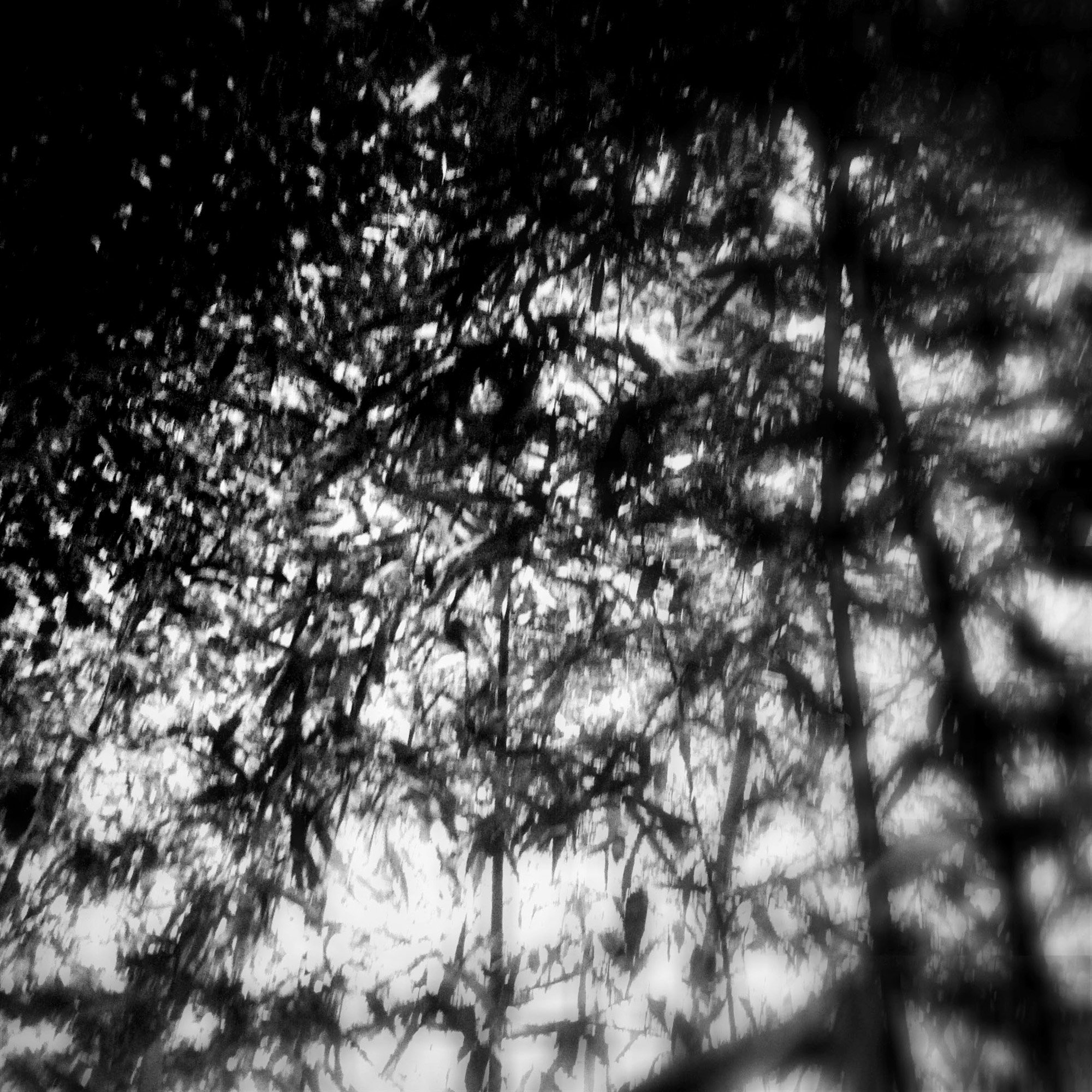  claudia-chianese-photography-terra-11.jpg