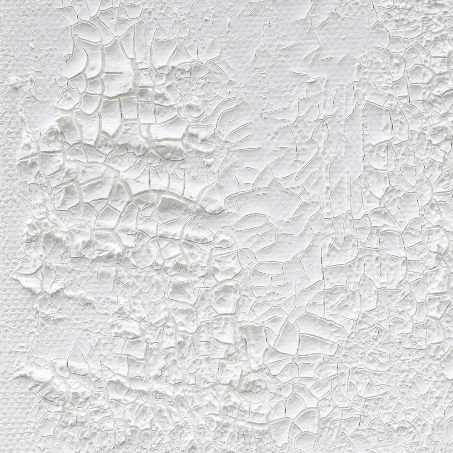 claudia-chianese-painting-vox arborium-vi-detail-1.jpg