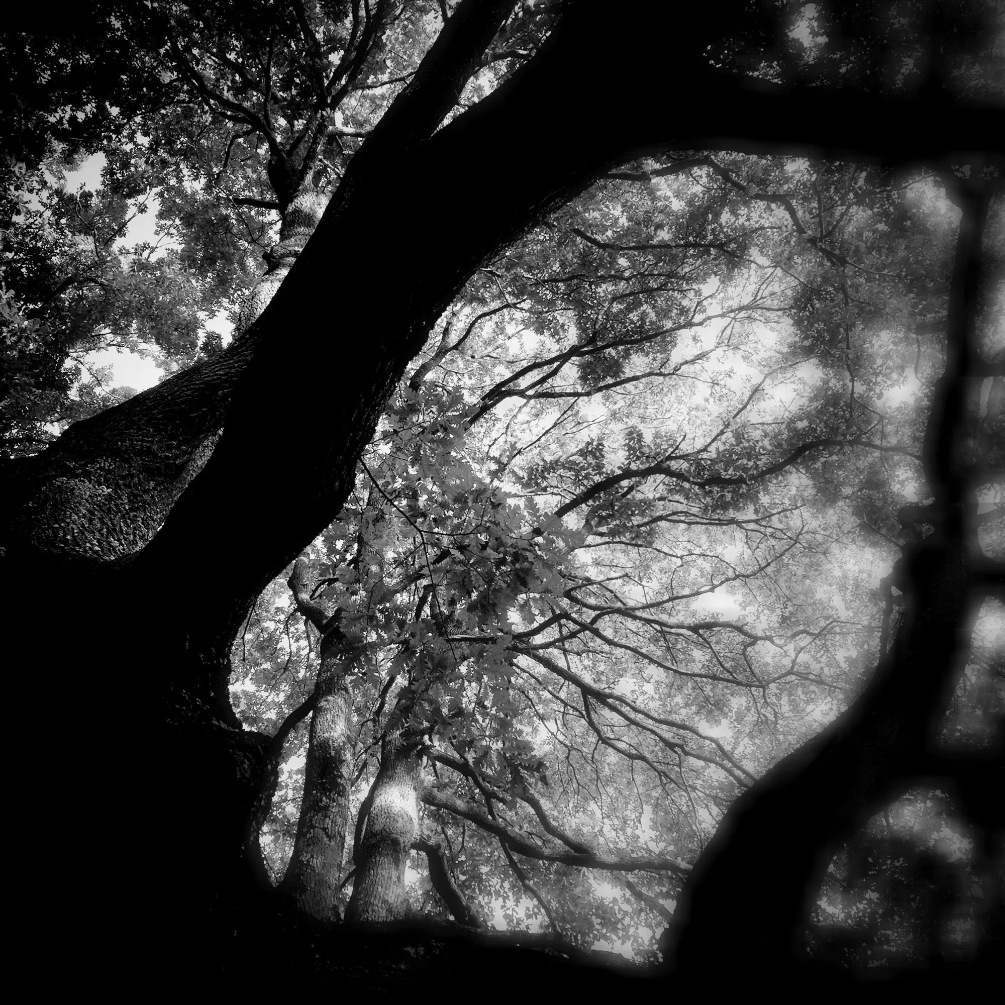 claudia-chianese-photography-terra-19.jpg
