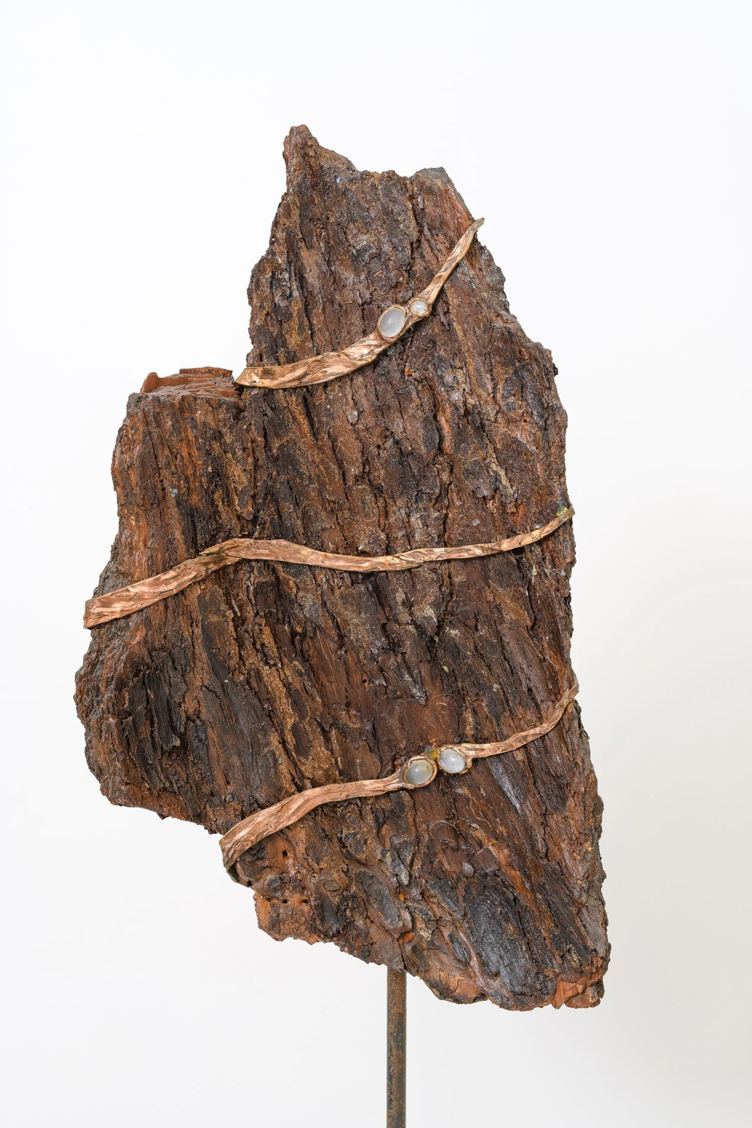 claudia-chianese-sculpture-evoluzione-1.jpg