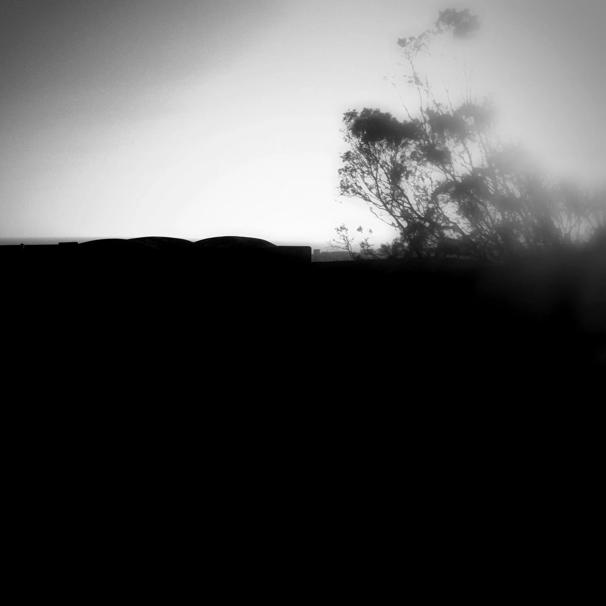  claudia-chianese-photography-terra-6.jpg