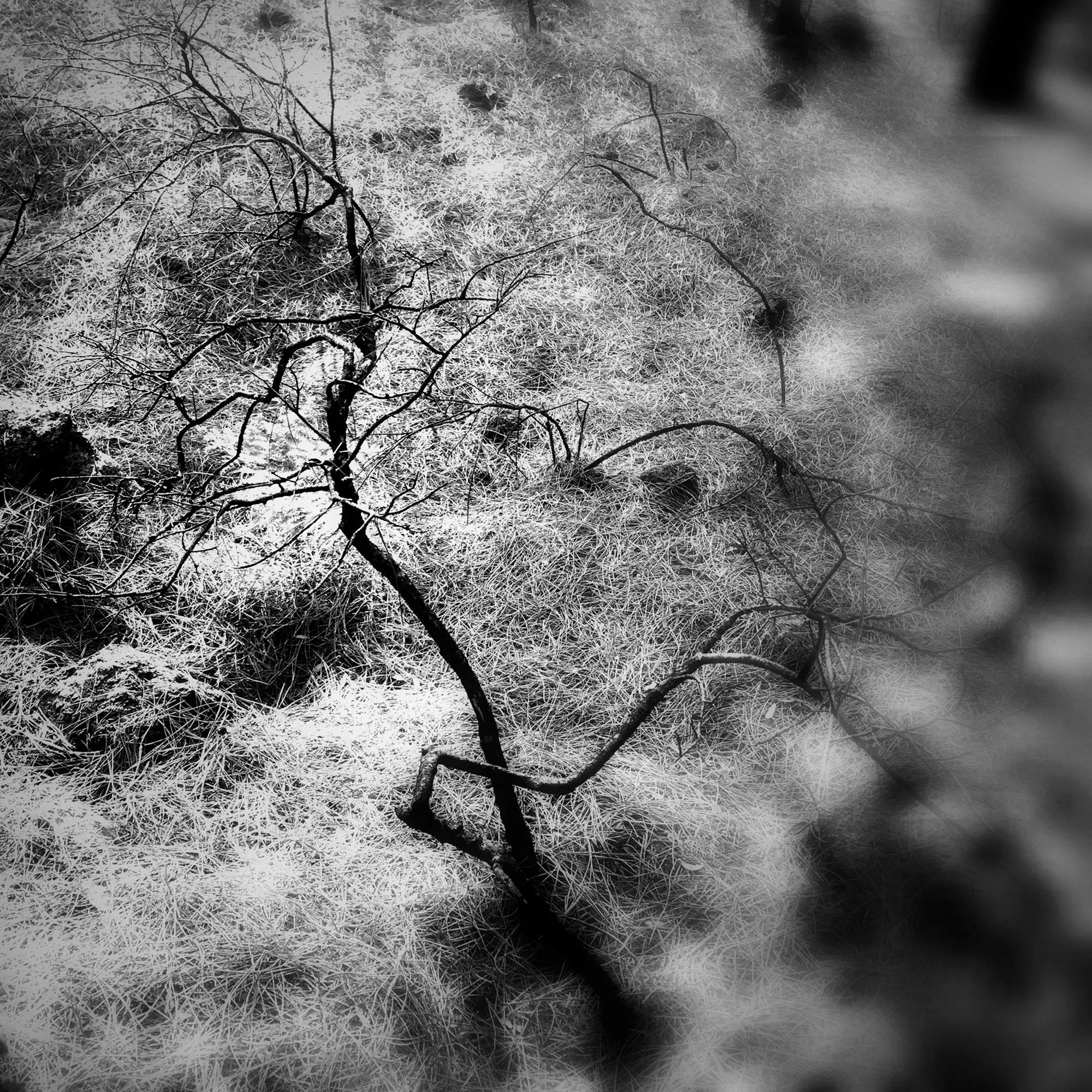  claudia-chianese-photography-terra-18.jpg