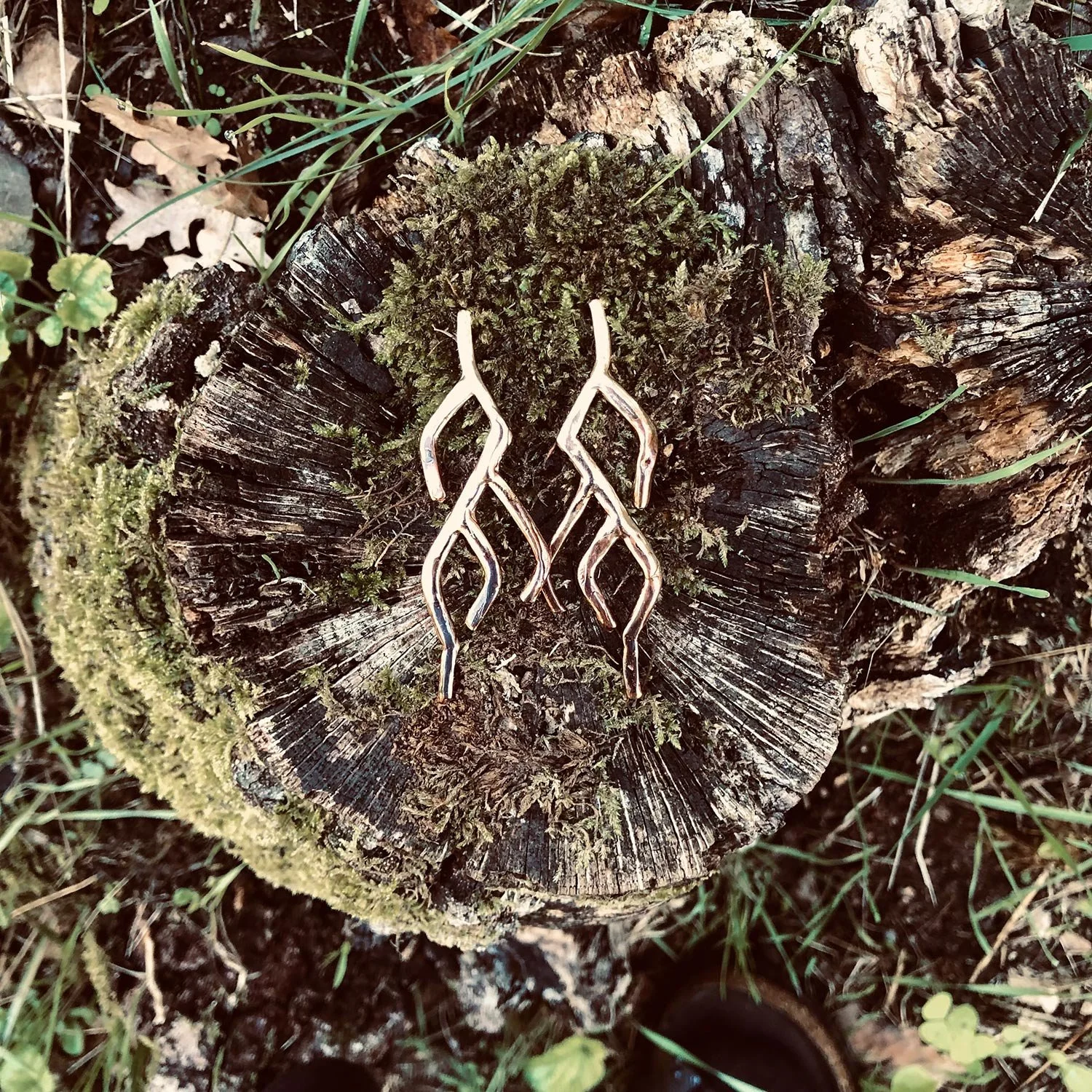 vestiti di bosco