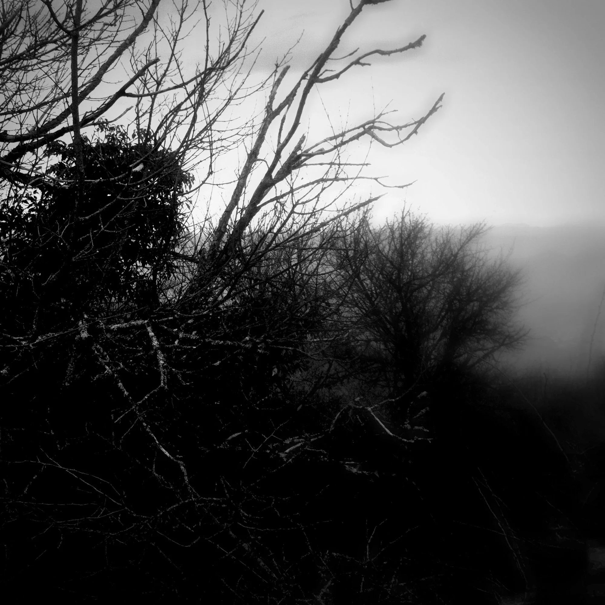  claudia-chianese-photography-terra-5.jpg