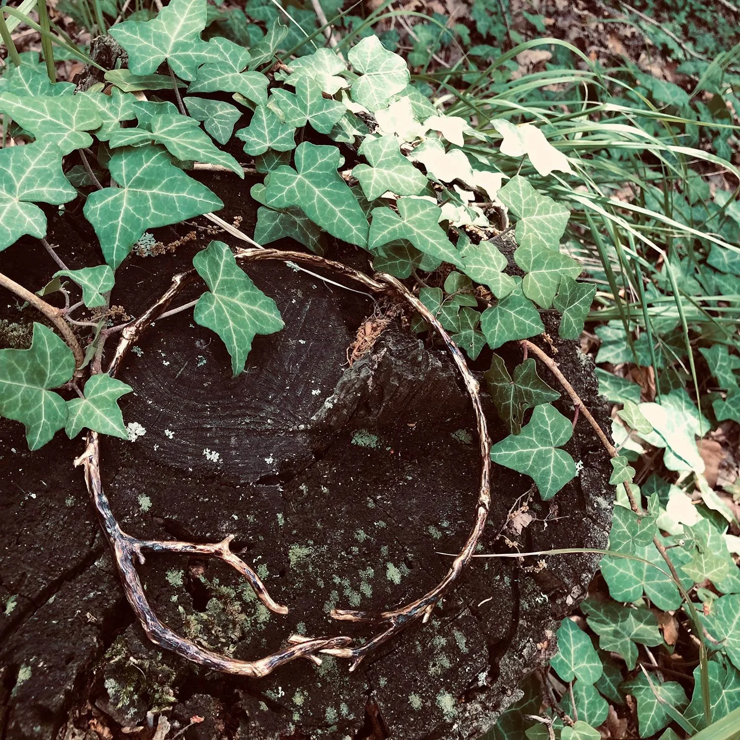 vestiti di bosco