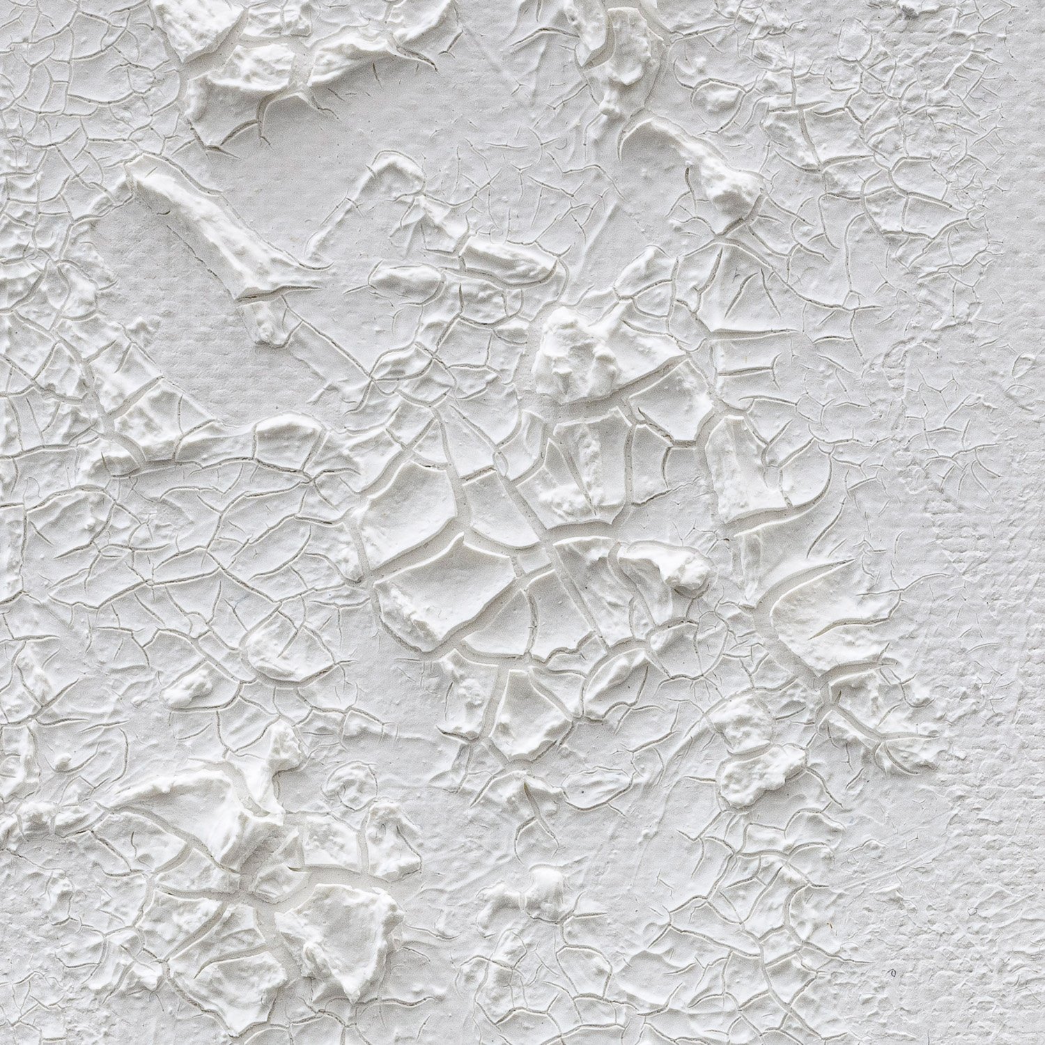 claudia-chianese-painting-vox arborium-iii-detail-1.jpg