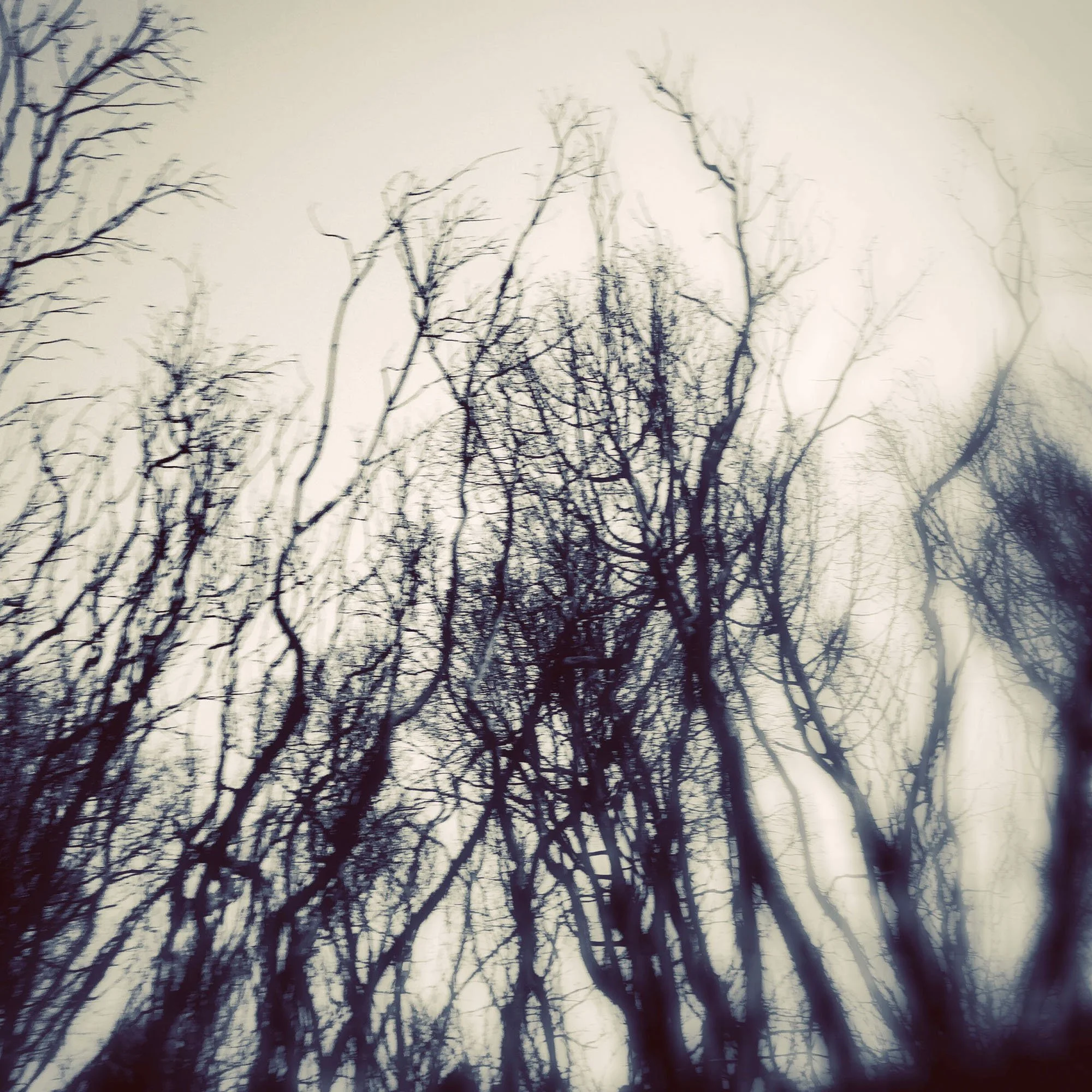  claudia-chianese-photography-fuoco-7.jpg