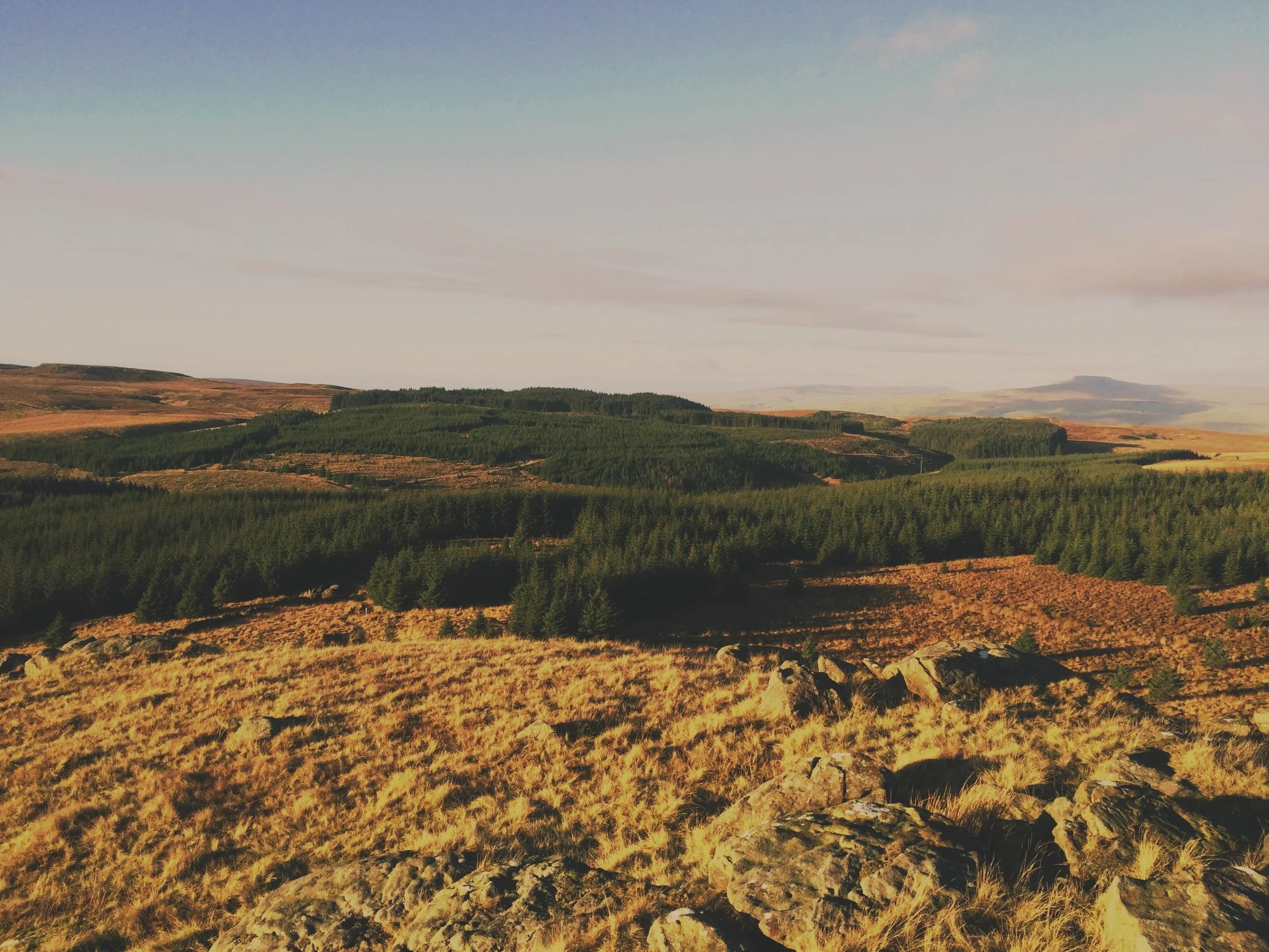 Rolling hills covered in golden grass and dense green forests under a partly cloudy sky.