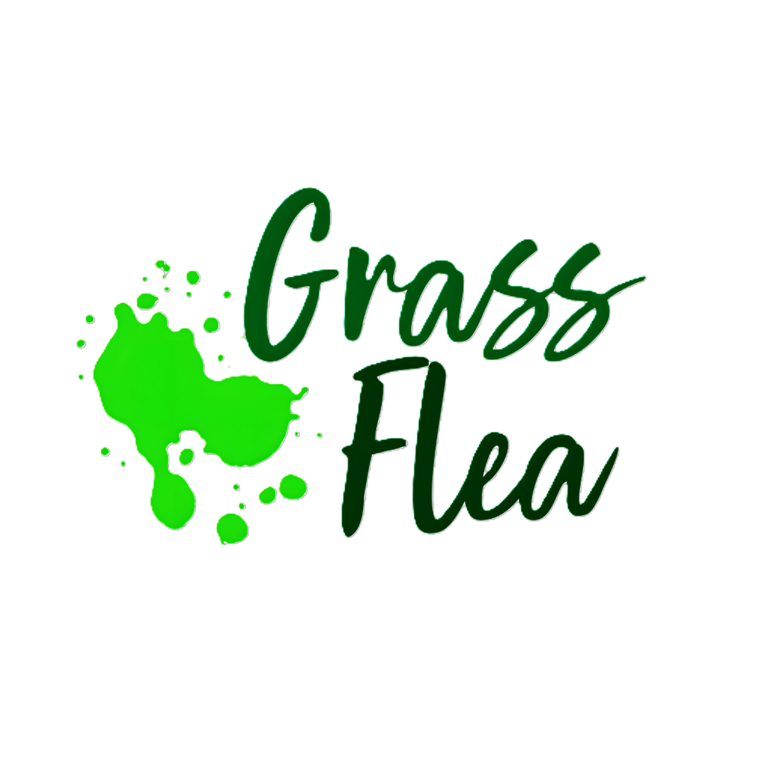 Statement Tees for every taste &amp; every age. Fun designs. Bold slogans