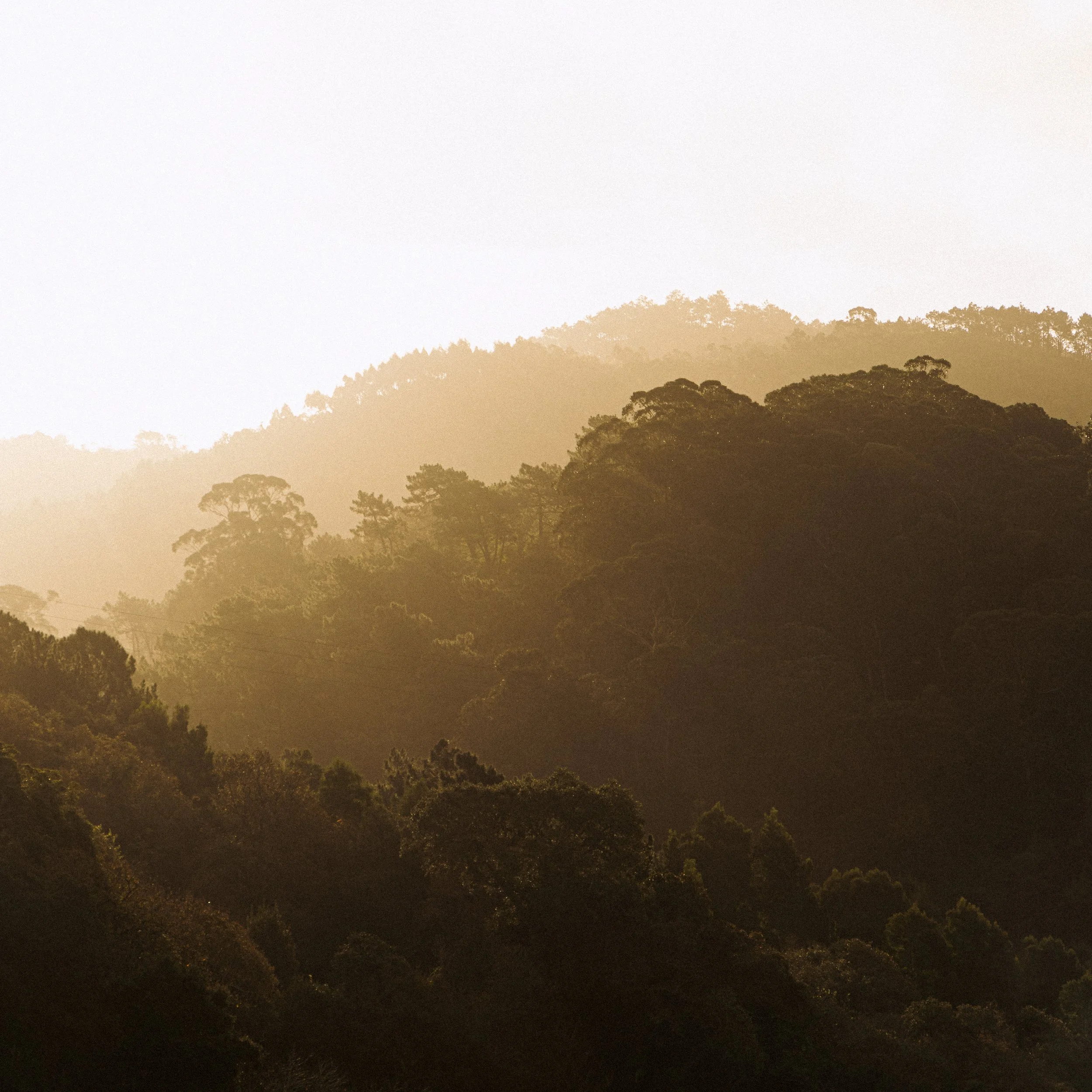 Portugal - in digital