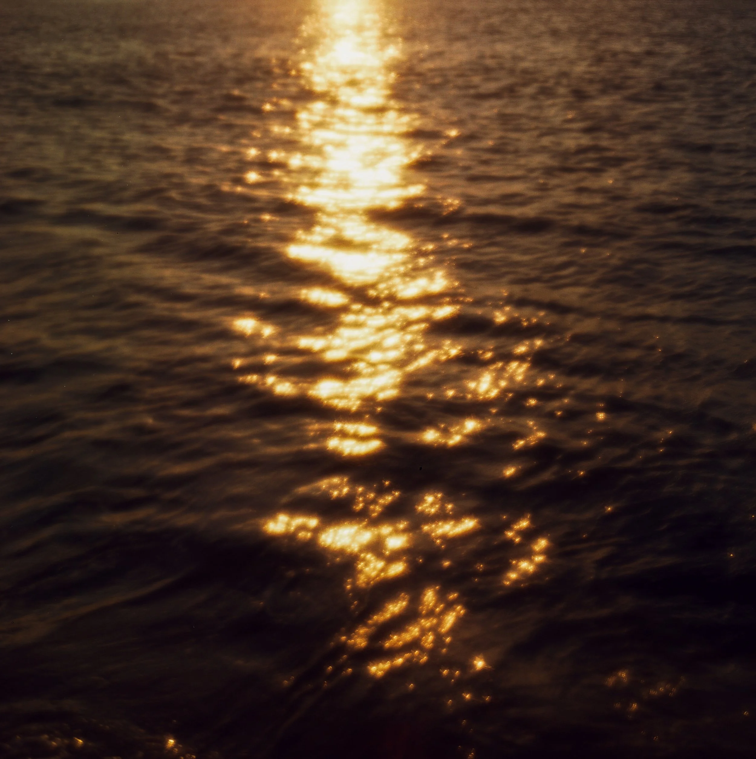 Prantsusmaa - on film