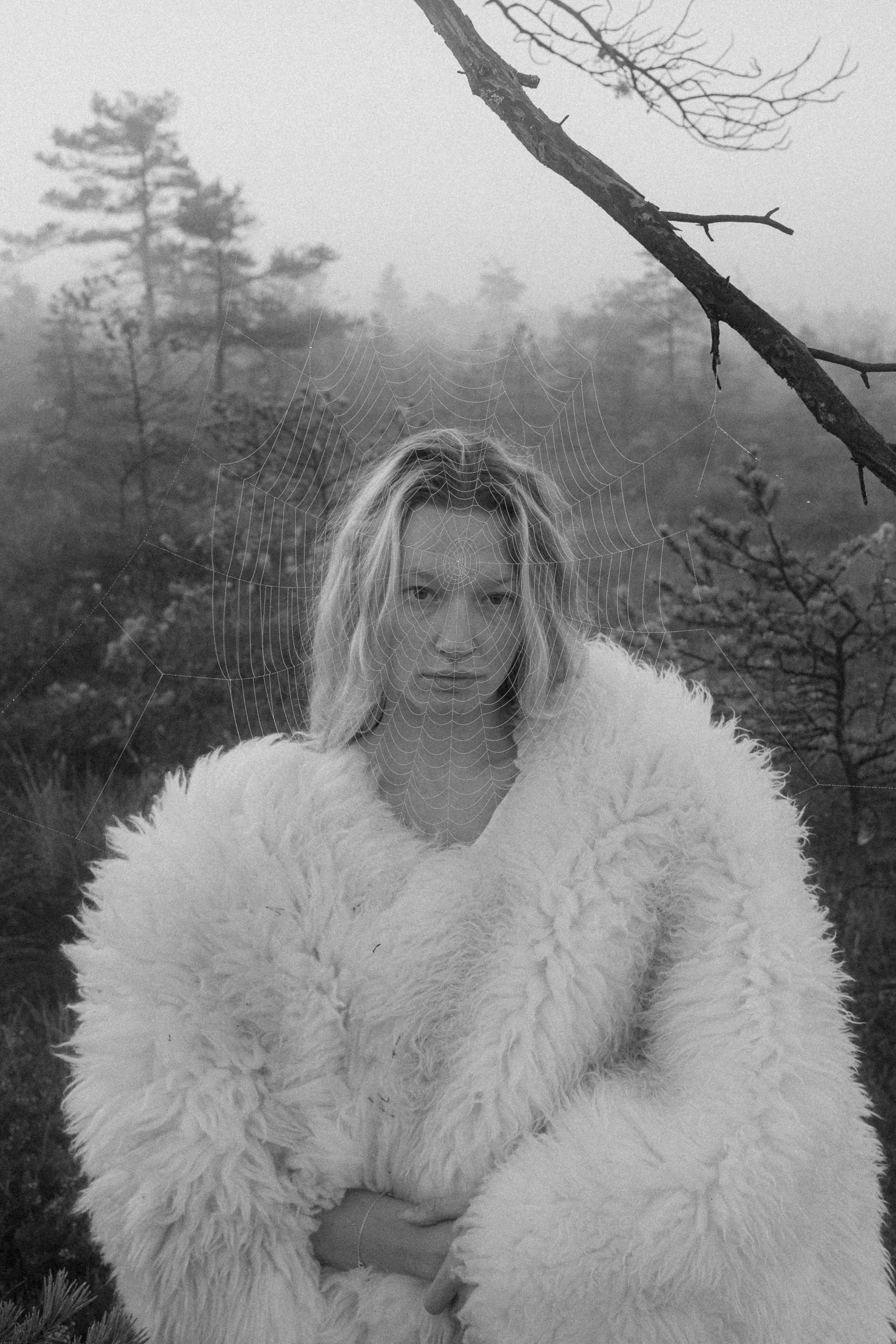 Christin Sandra - in digital