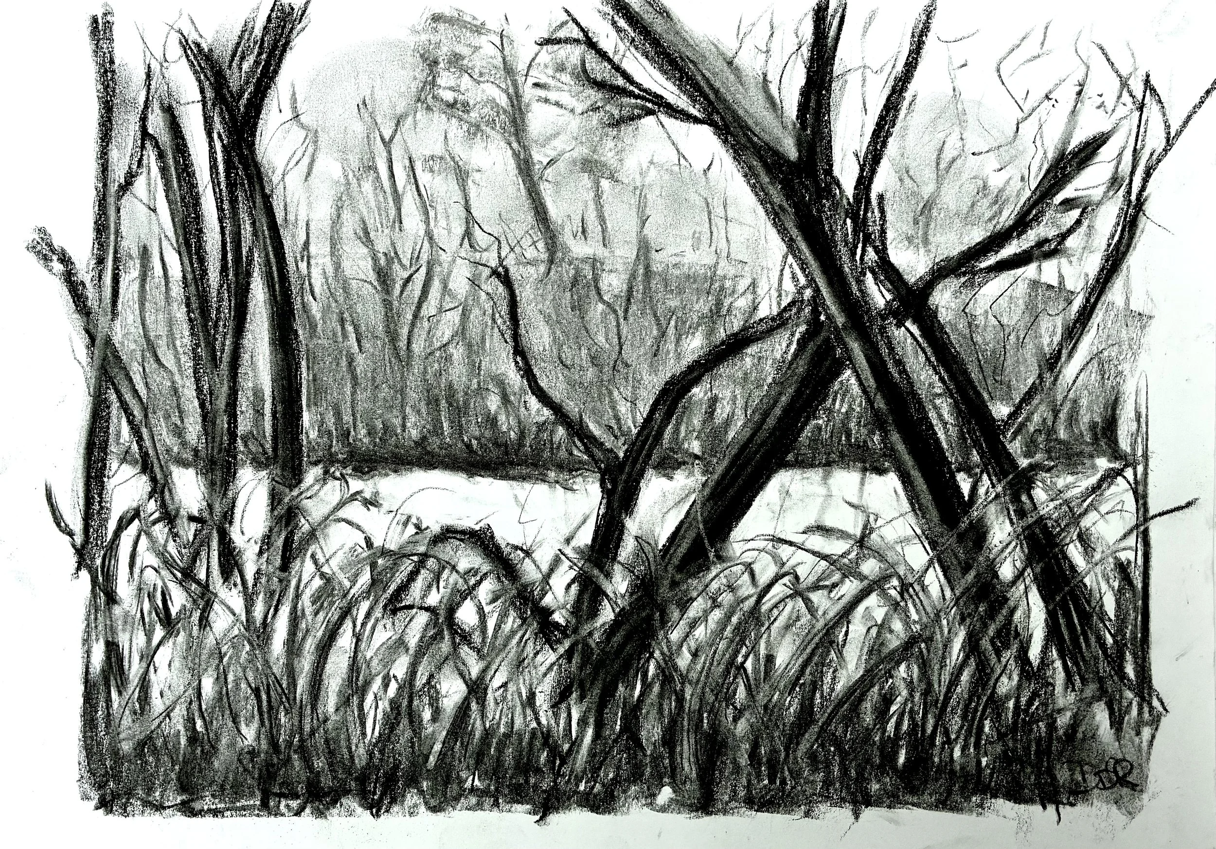 Charcoal landscapes with Sarah Humby
