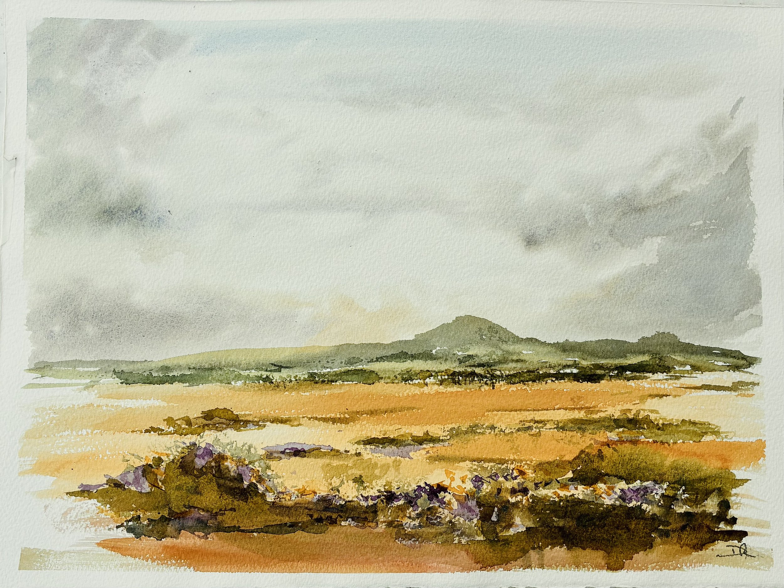 Stoborough Heath, Wareham