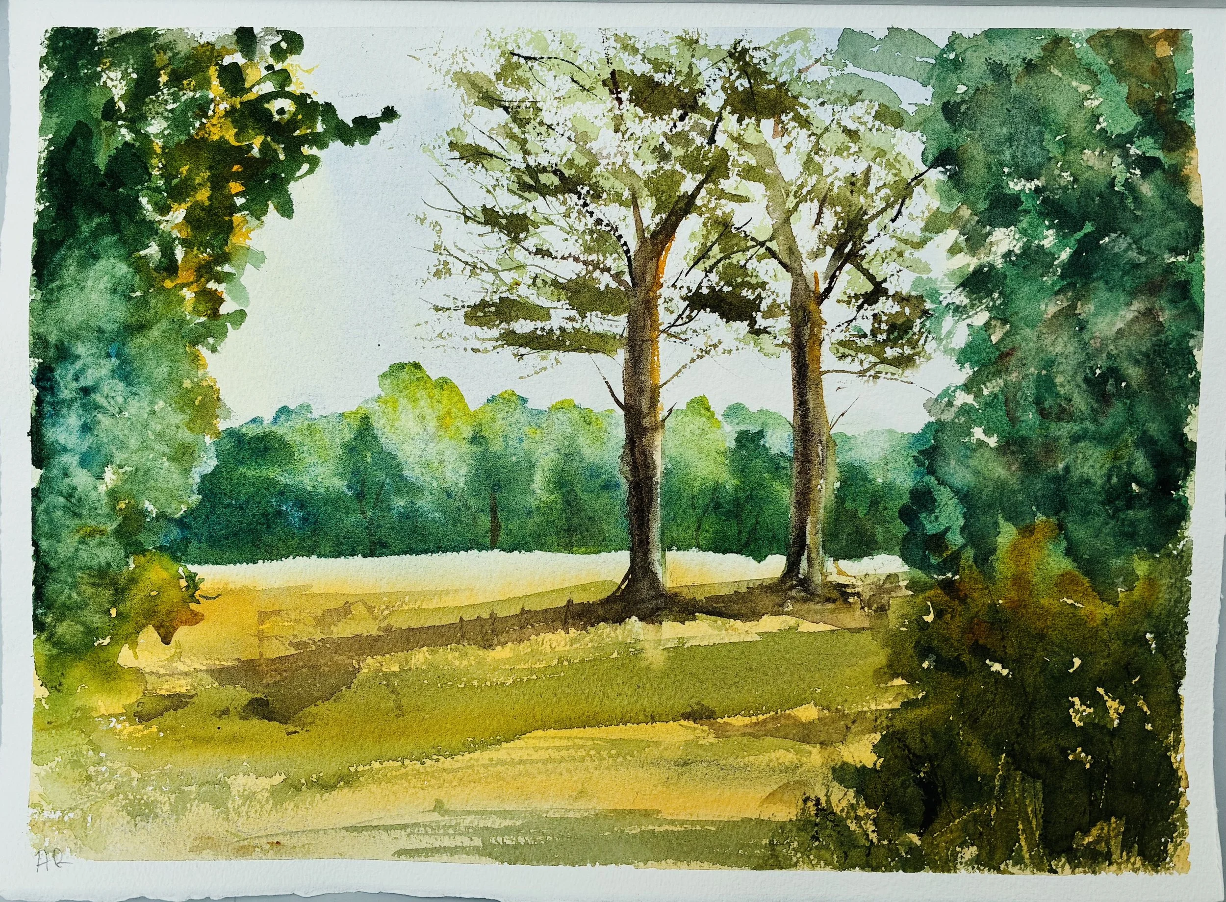 A favourite walk