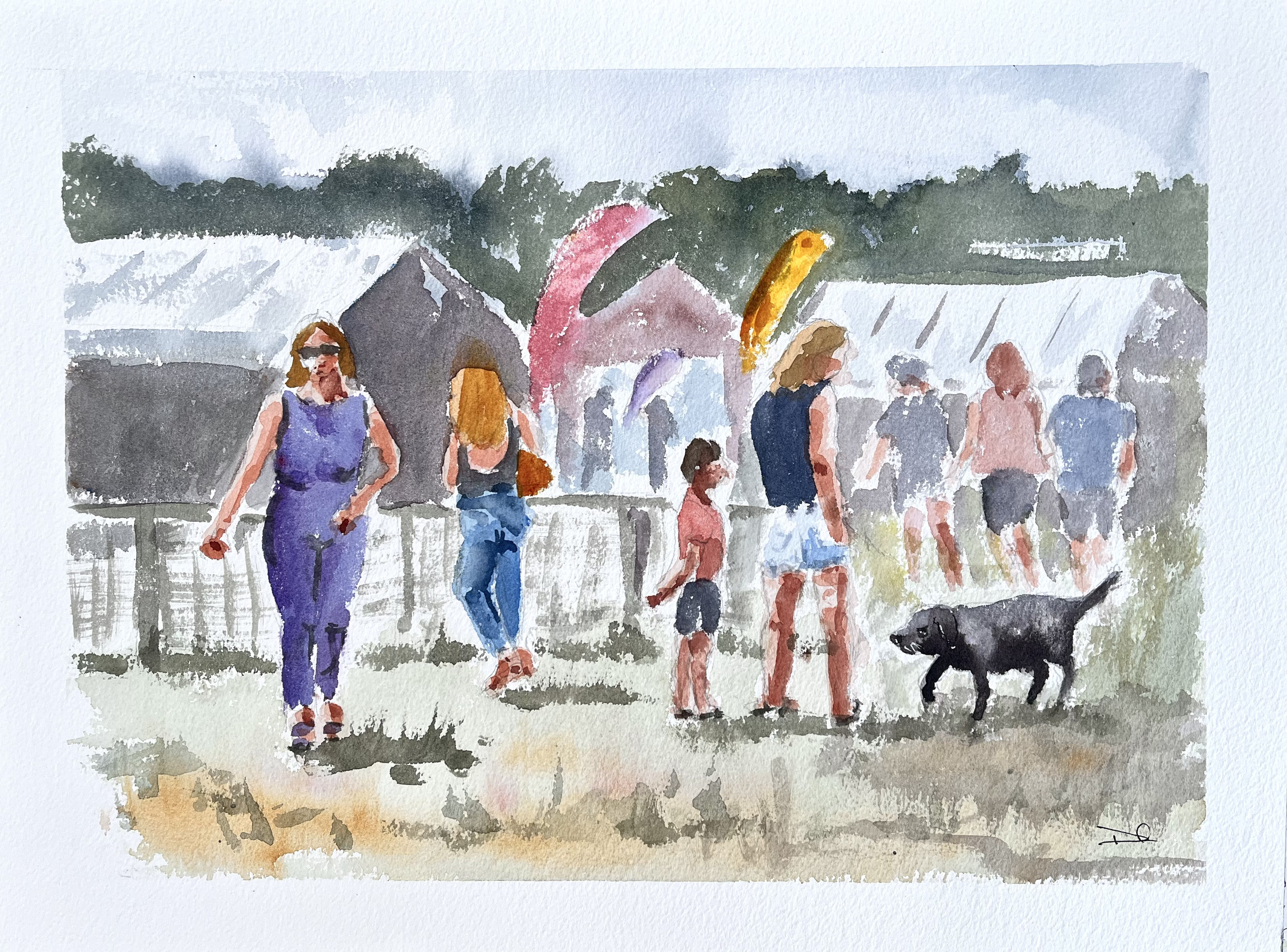 New Forest Show
