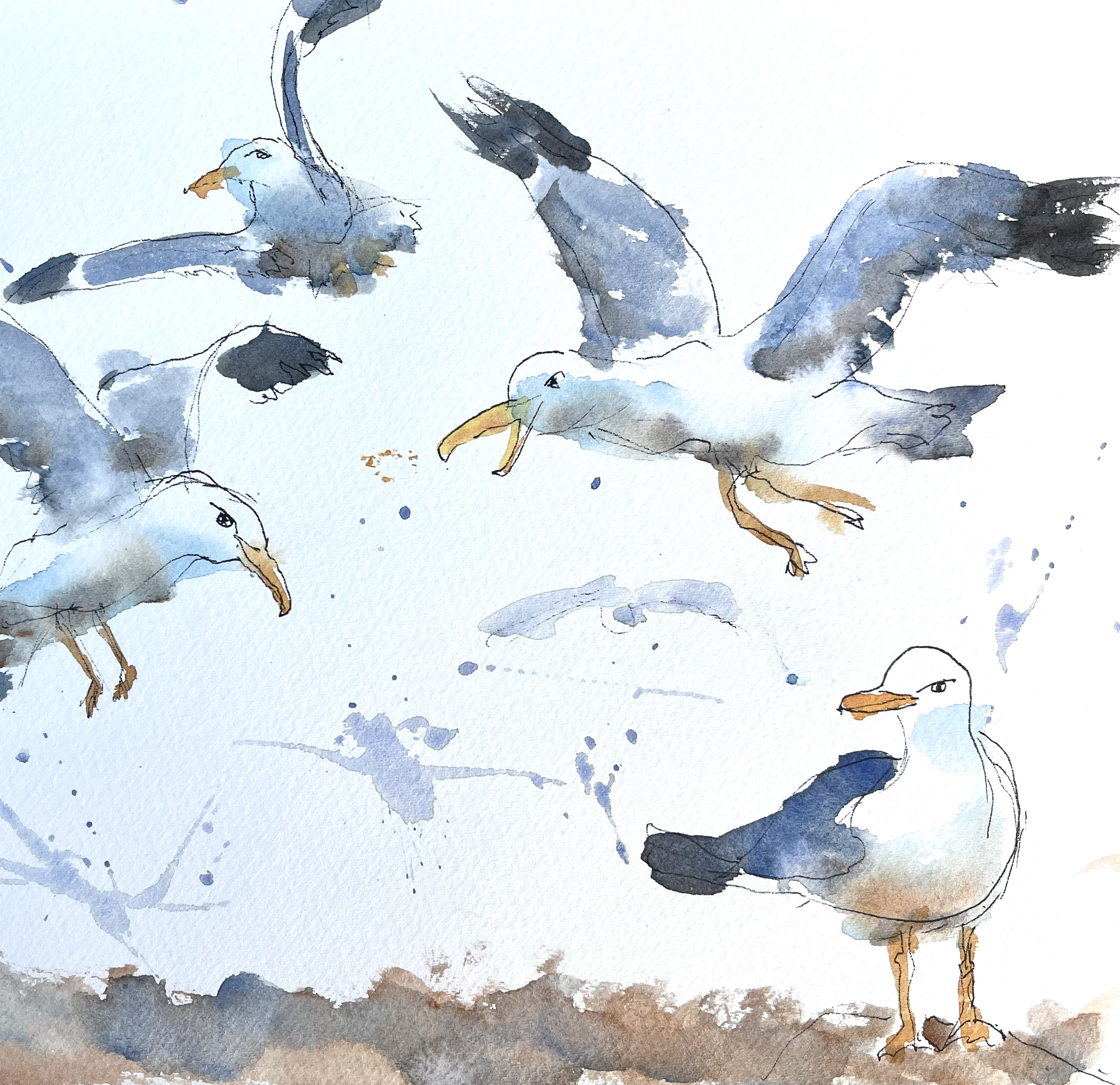 Seagulls 1