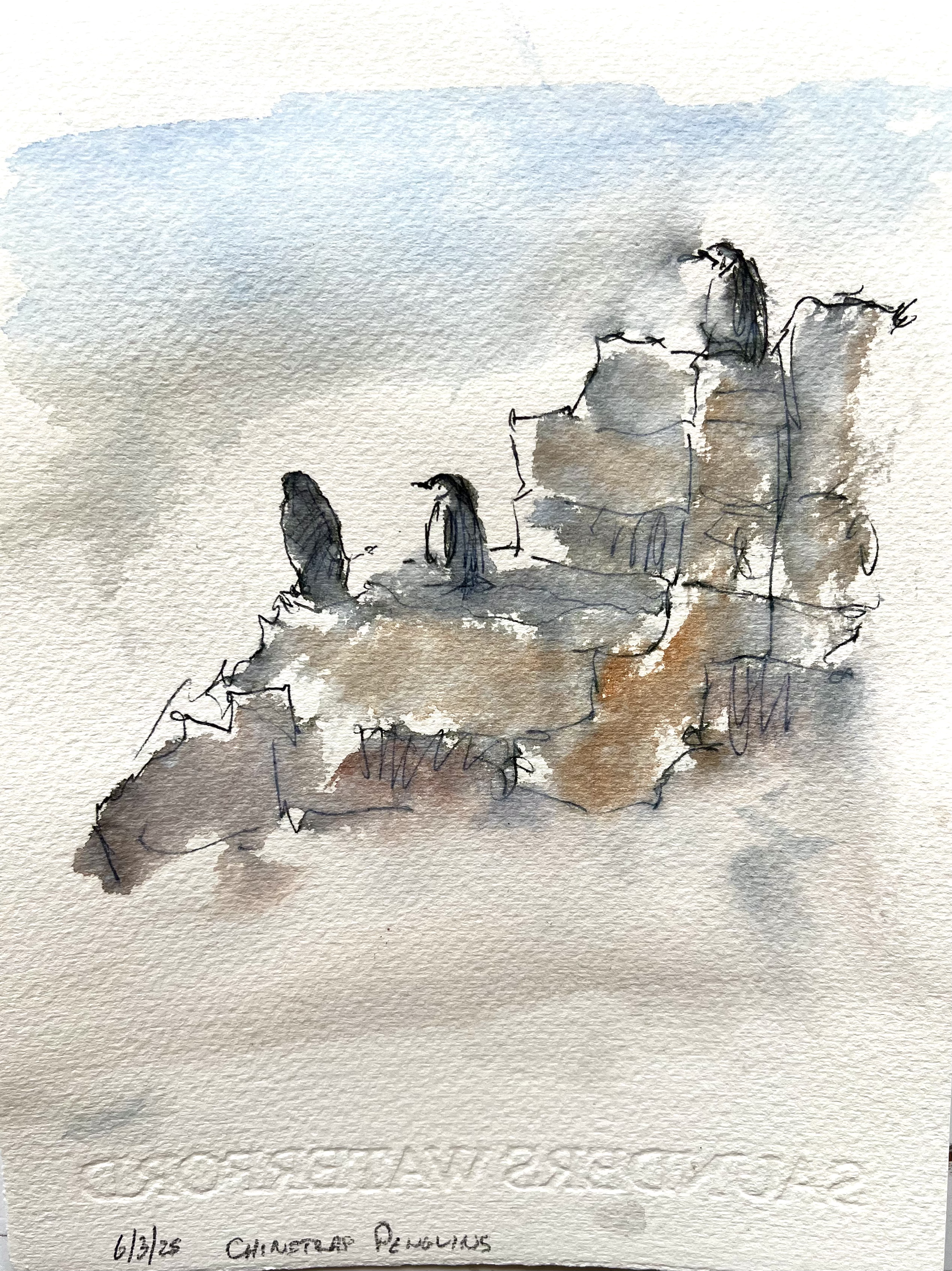 Penguin colony Antartica, sketched in a snowstorm!