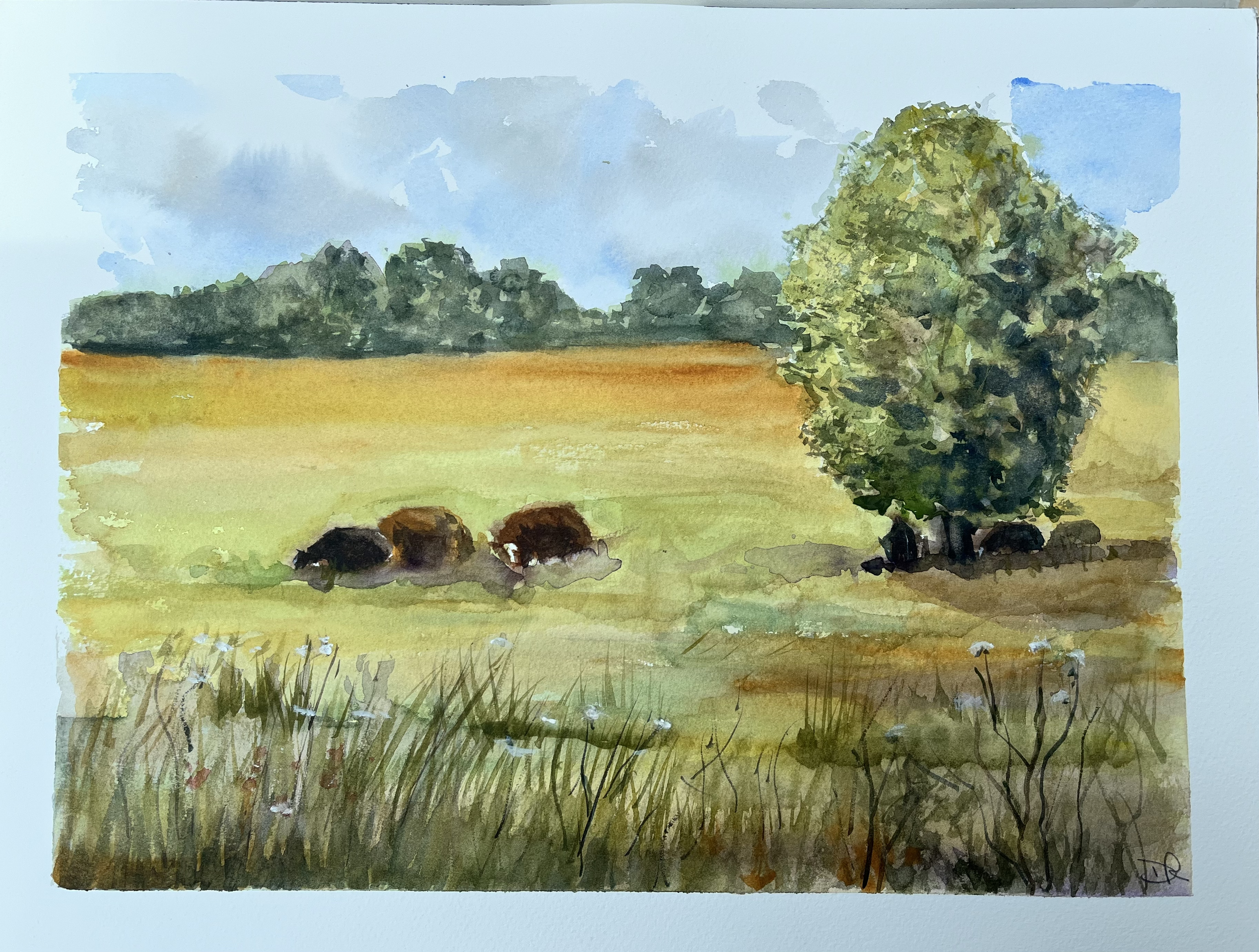 View from Chettle, Dorset