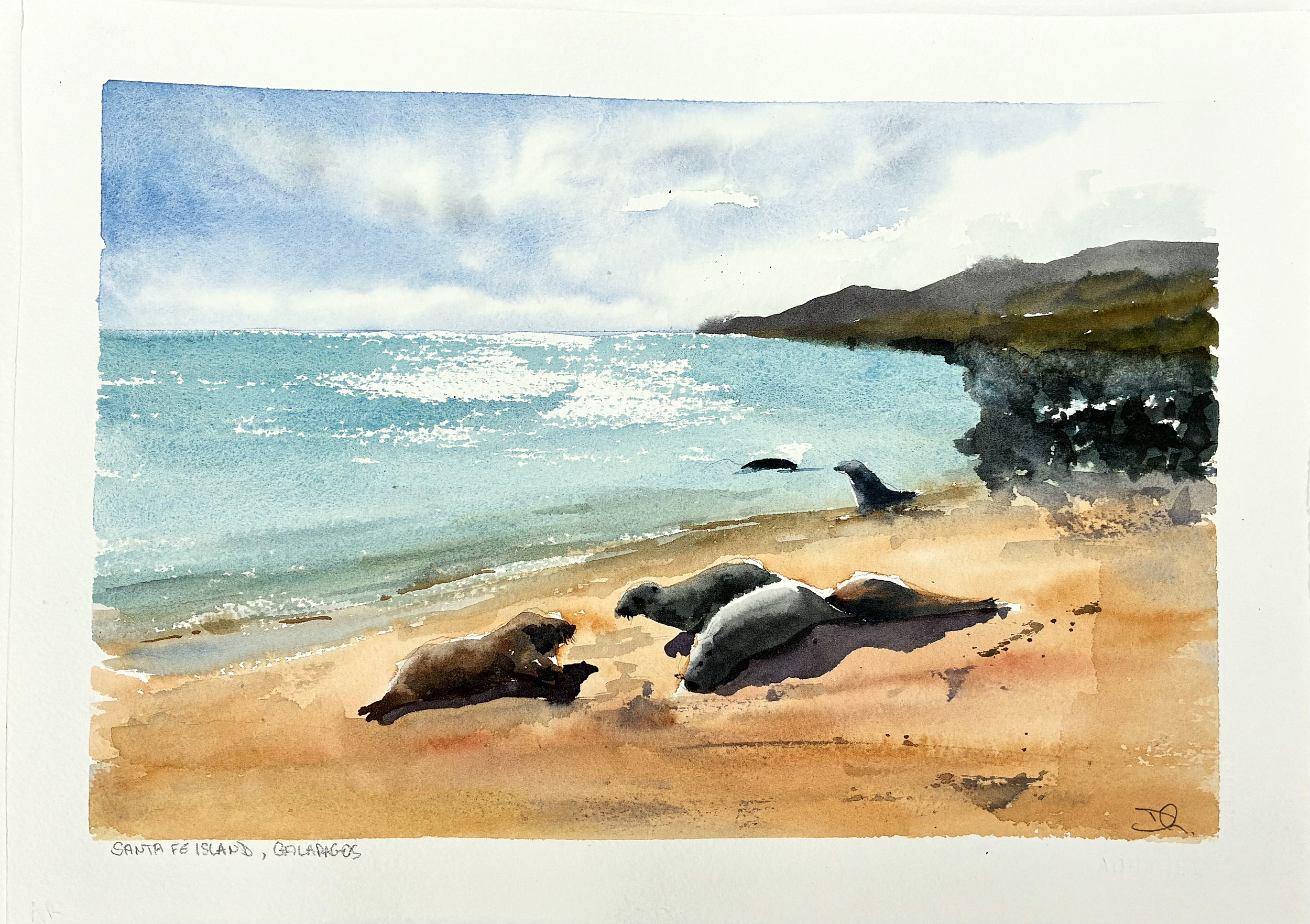 Santa Fé Island, Galapagos