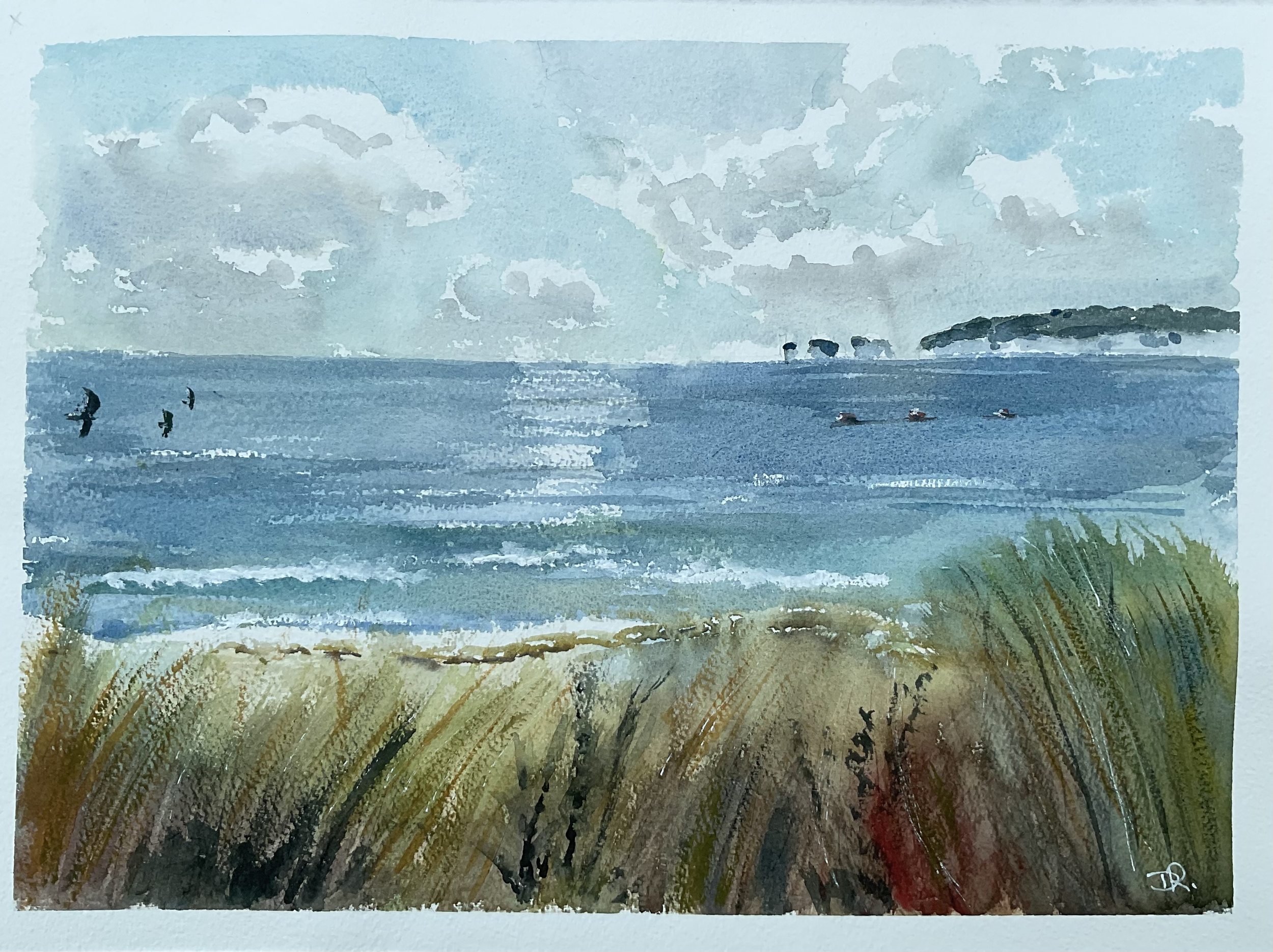 Studland Bay 2