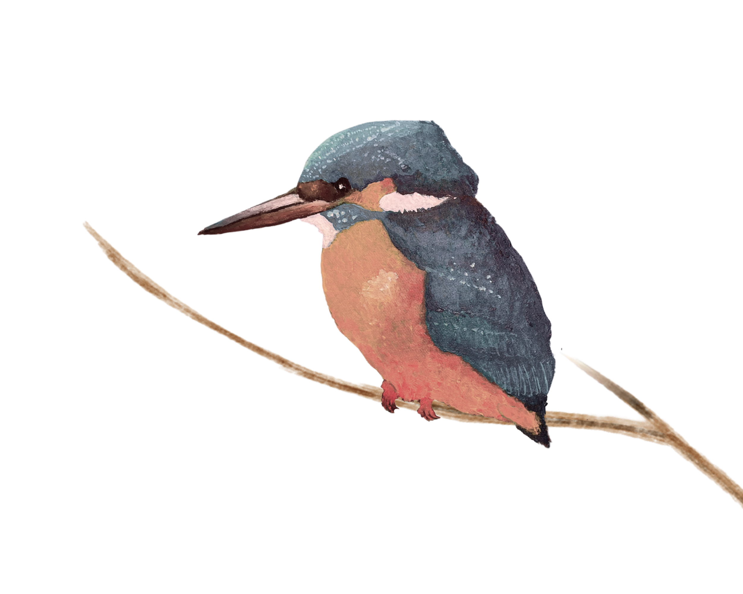 Ein Vogel sitzt auf einem Ast - Aquarellmalerei