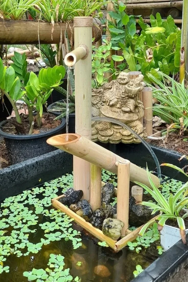 Bamboo water fountain with water flowing through a bamboo pipe into a pond filled with duckweed, surrounded by potted plants.
