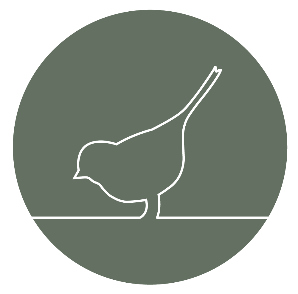 Tippy Bird Studio Massage & Pilates