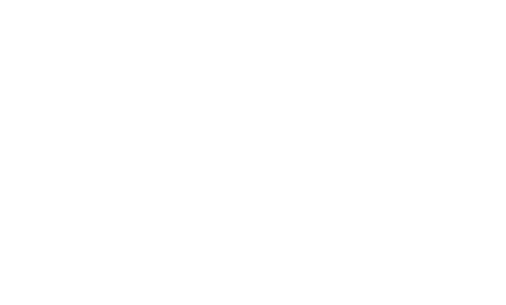 Tippy Bird Studio
