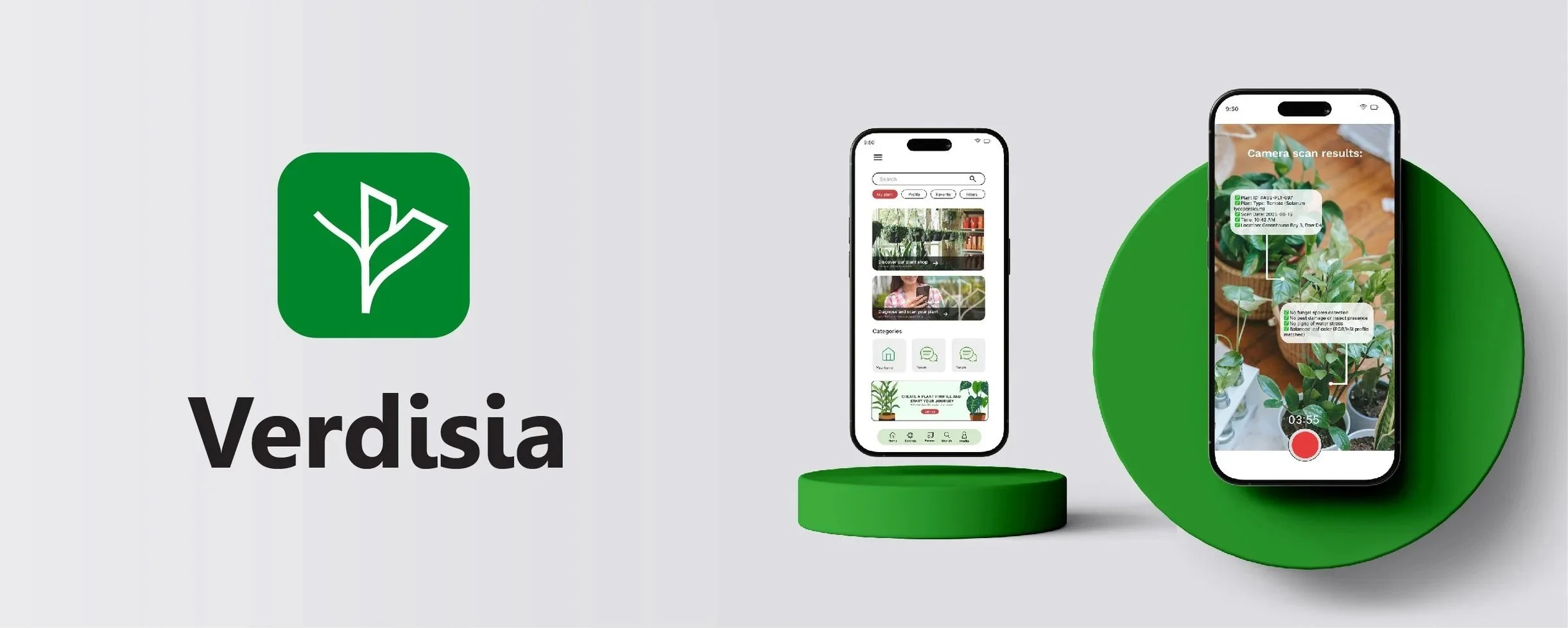 Verdisia app logo with a white plant icon on a green background, and two smartphones displaying plant care and identification features, placed on green circular pedestals.