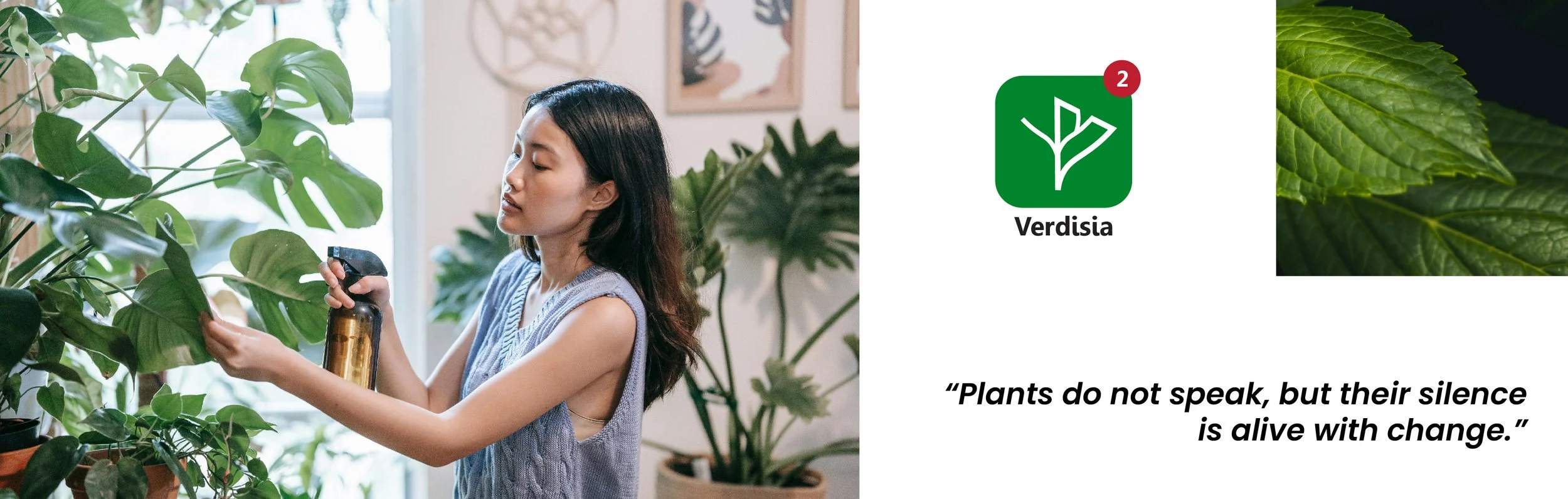A young woman watering a large green plant in a bright room, surrounded by other indoor plants and artwork on the wall.