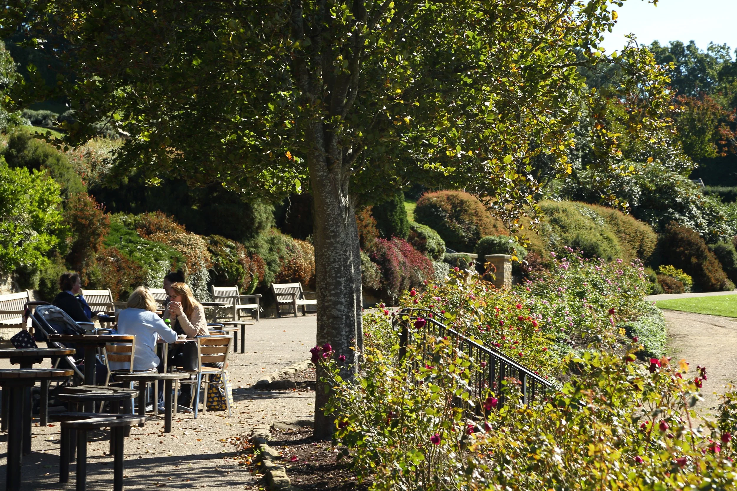 People sitting at tables in a park with trees and blooming flowers.