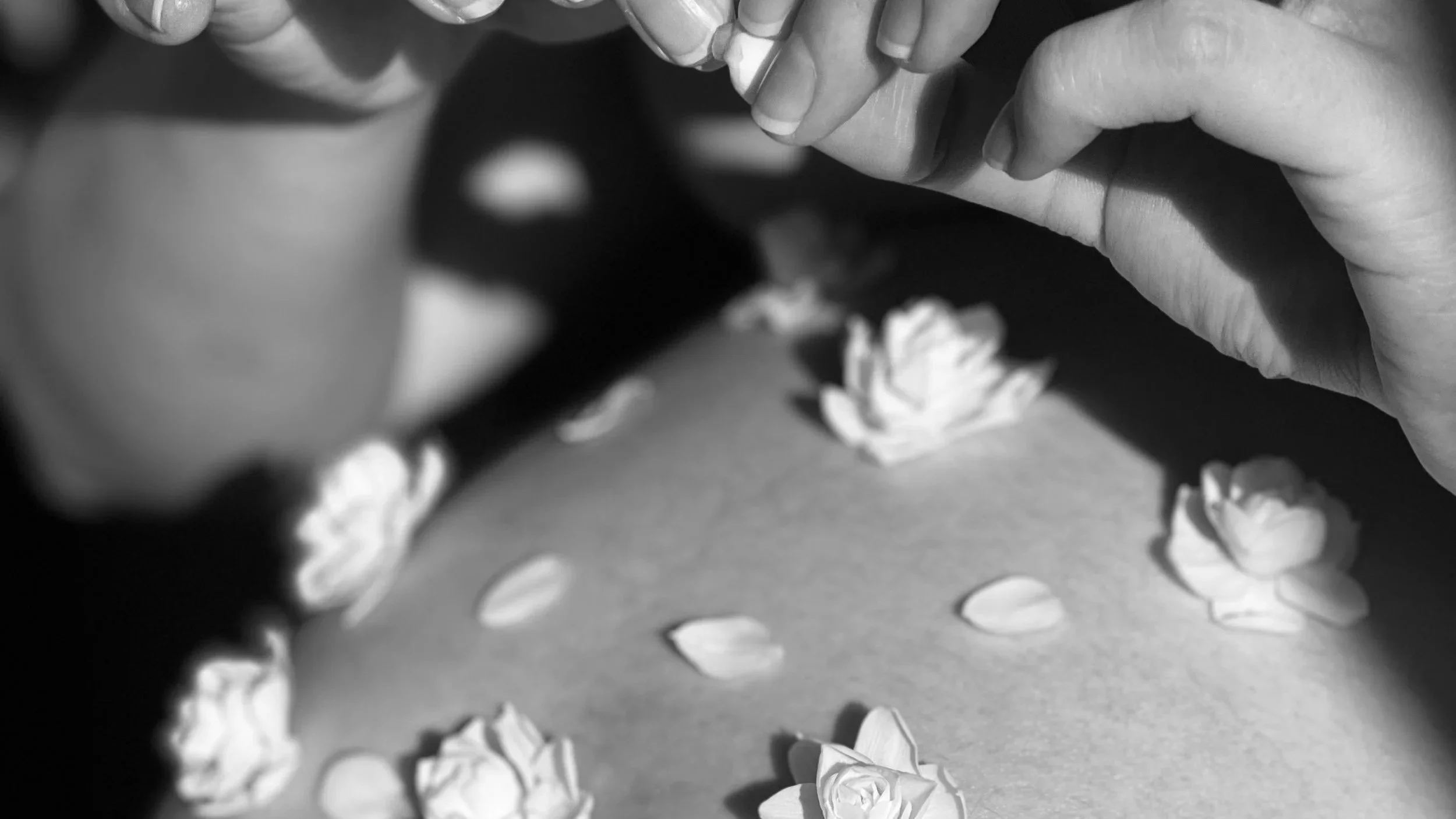 Black and white close-up photograph of a person's hand holding flowers on a pregnant belly.