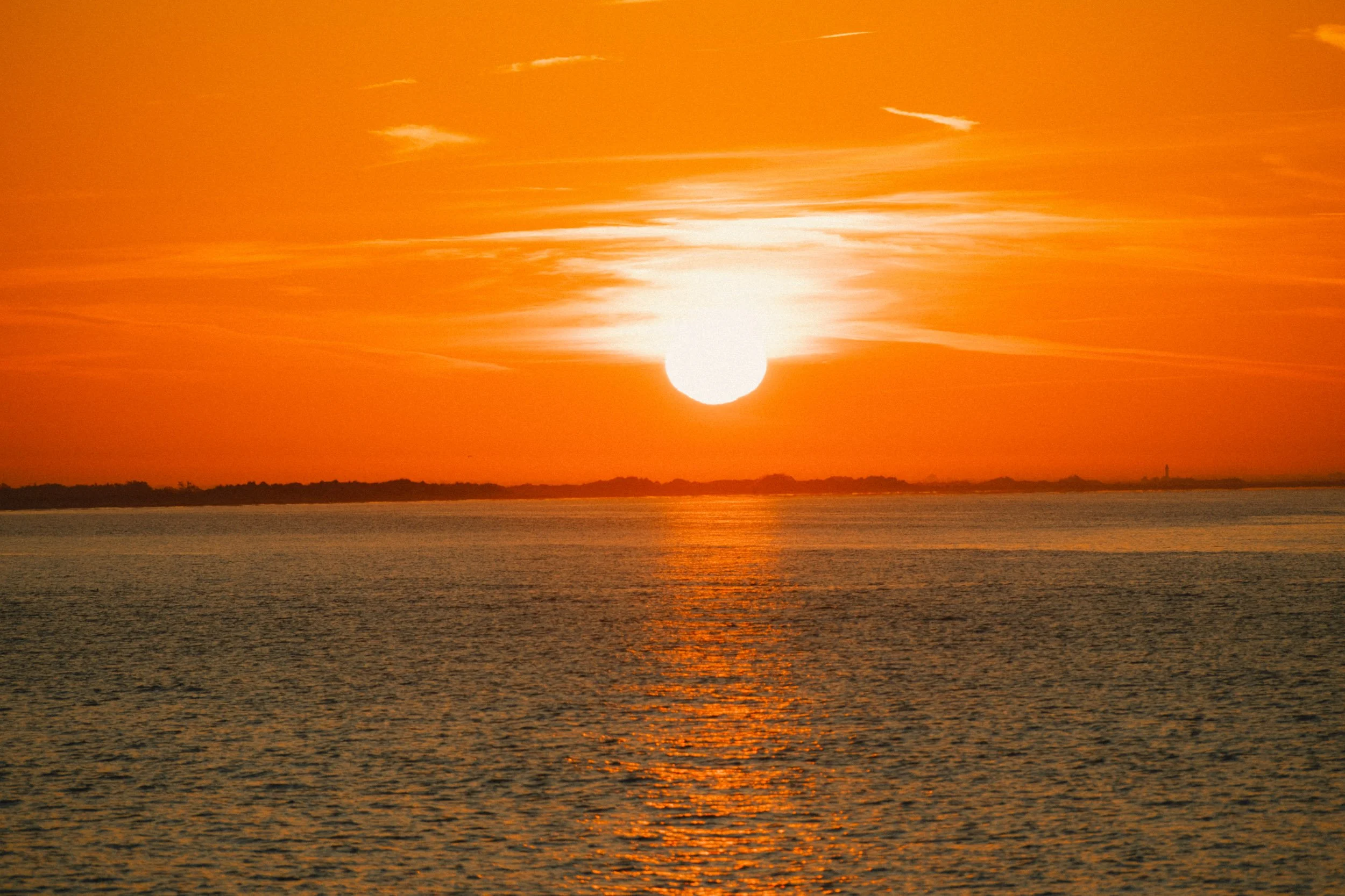 DSCF5056.jpg