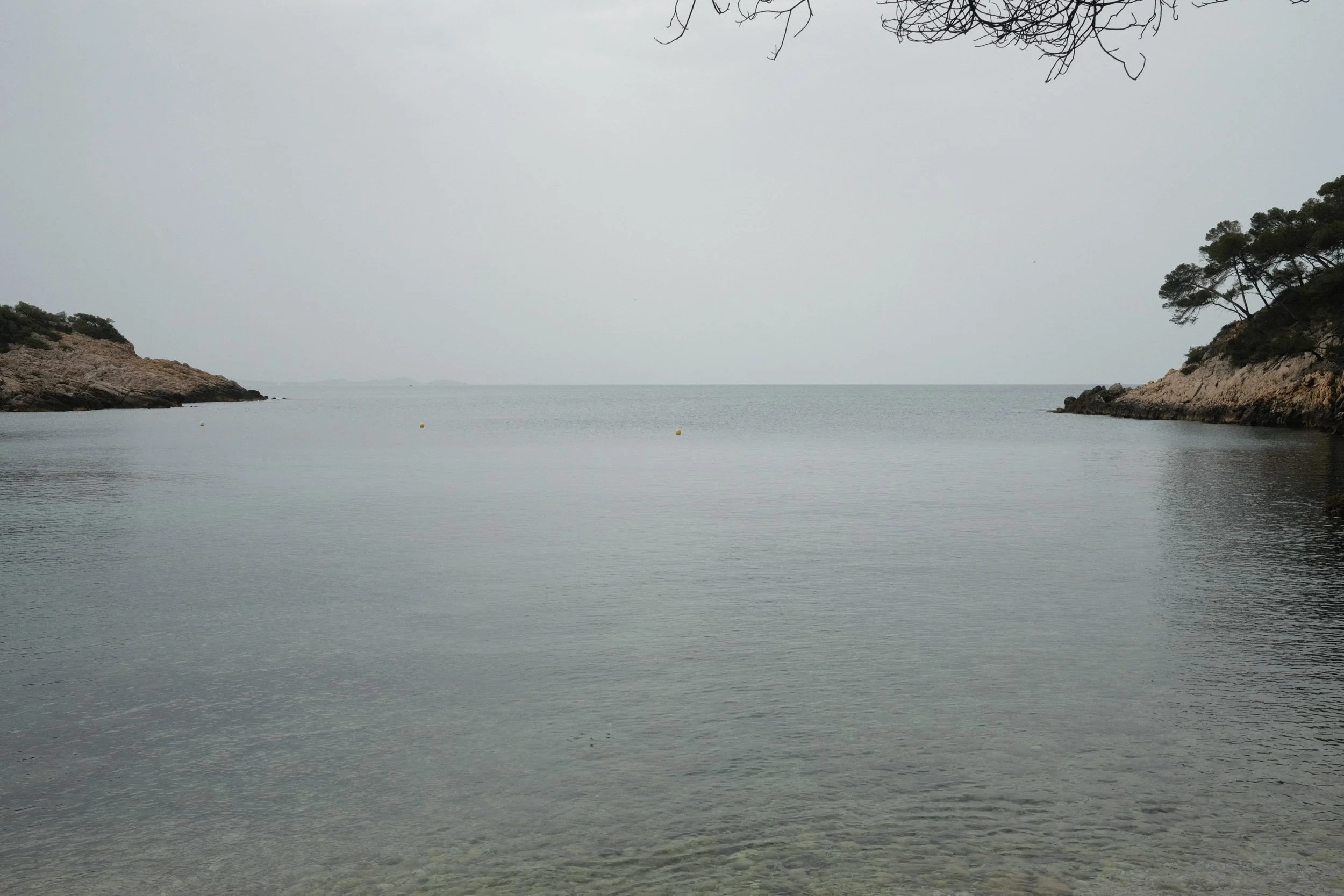 20240620-DSCF1101.jpg