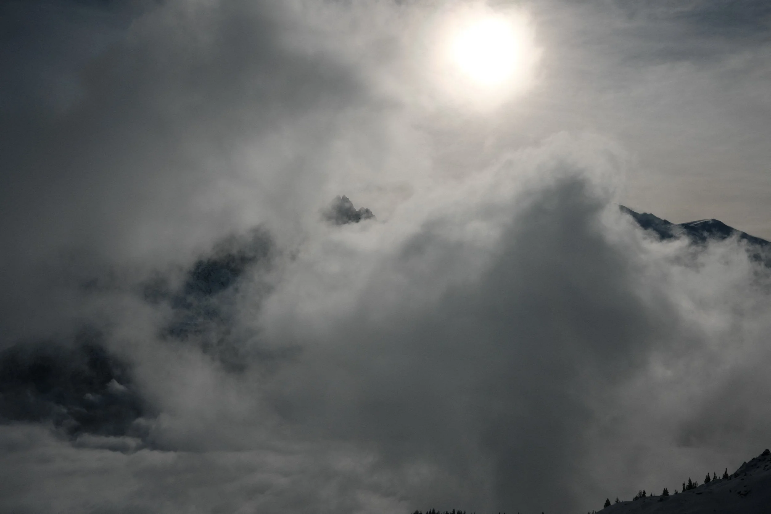 20241215-DSCF3878.jpg