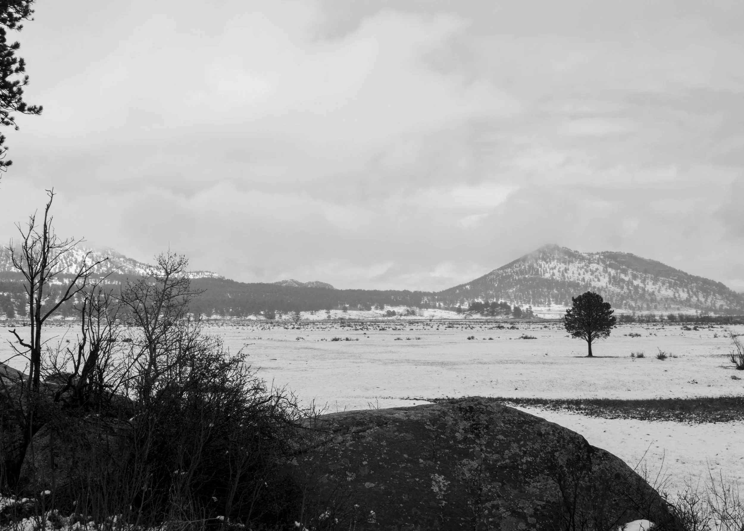 20230118-DSC_0271.jpg