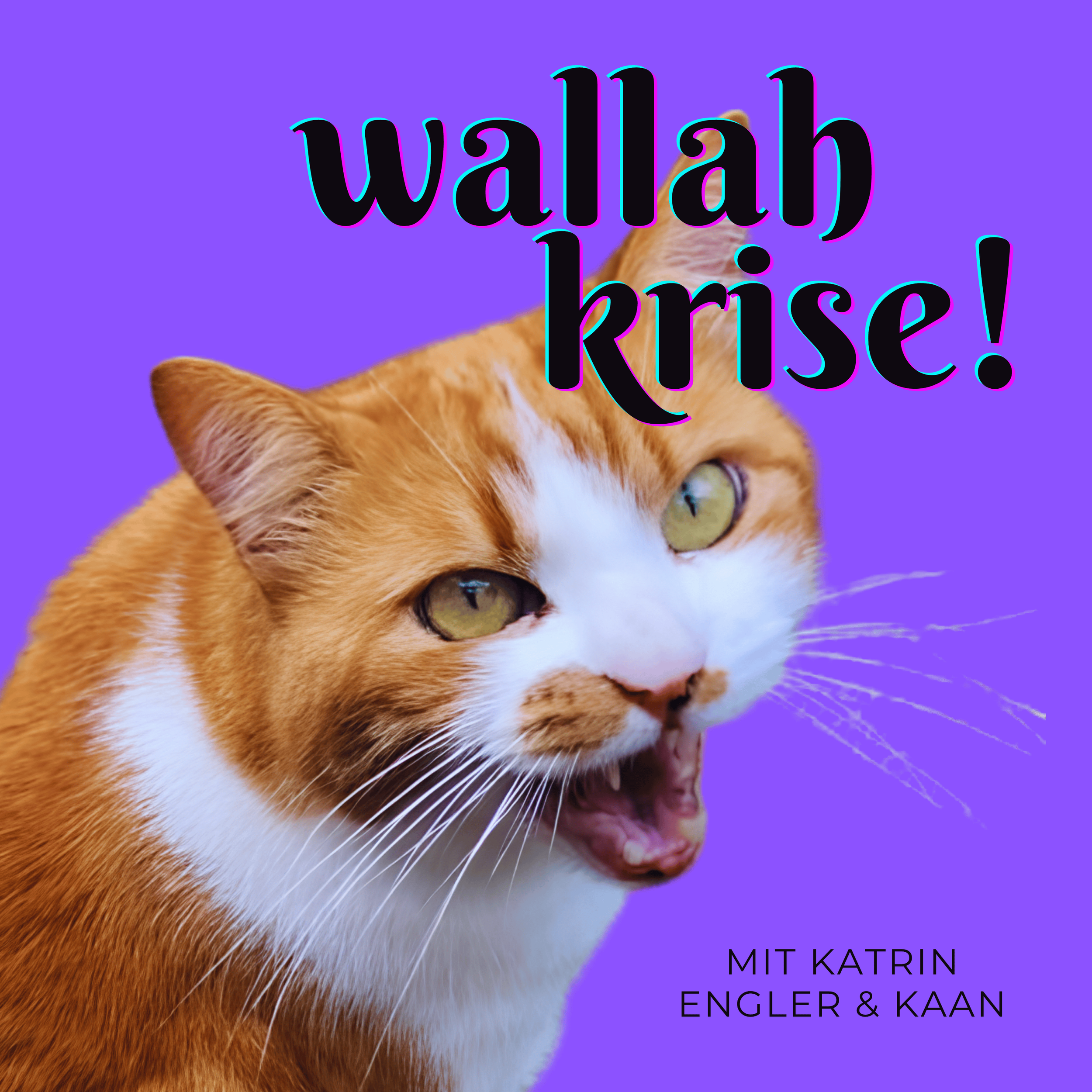 Wallah Krise Logo komp..png