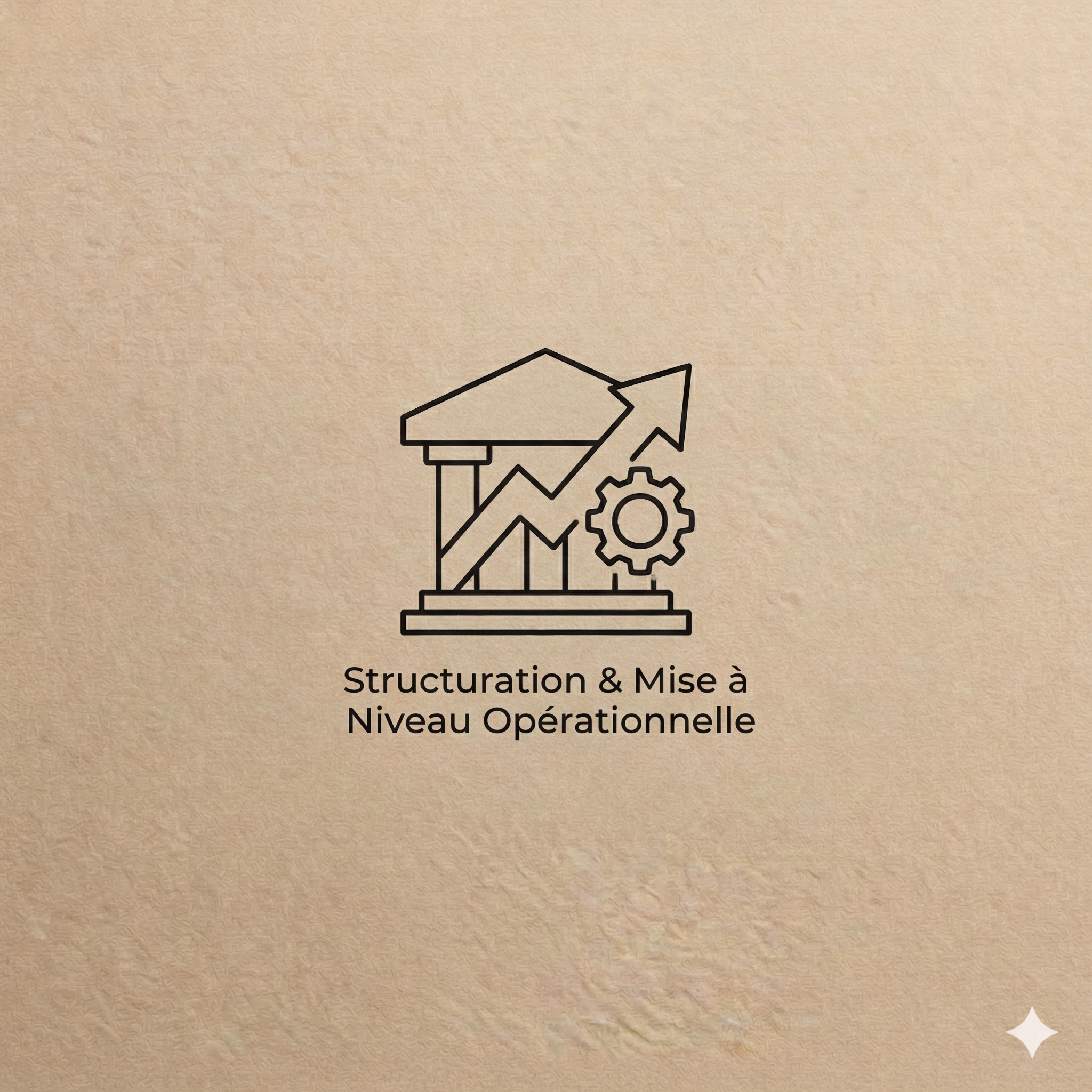 Structuration & Mise à Niveau Opérationnelle