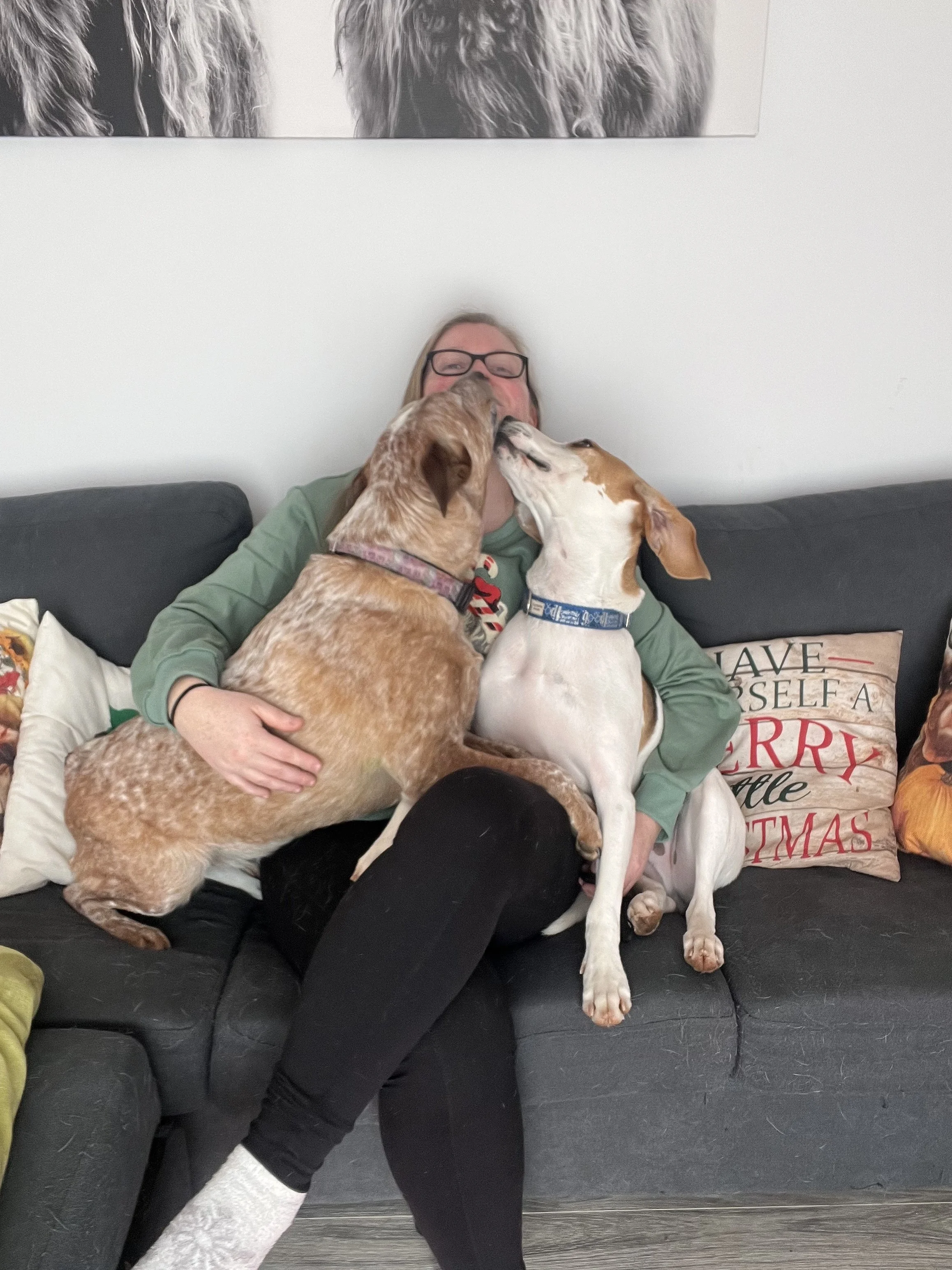 A woman sitting on a black sofa, hugging two dogs that are licking her face. The woman wears glasses, a green shirt, and black pants, with a Christmas-themed pillow behind her reading 'Have Yourself a Merry Little Christmas.'