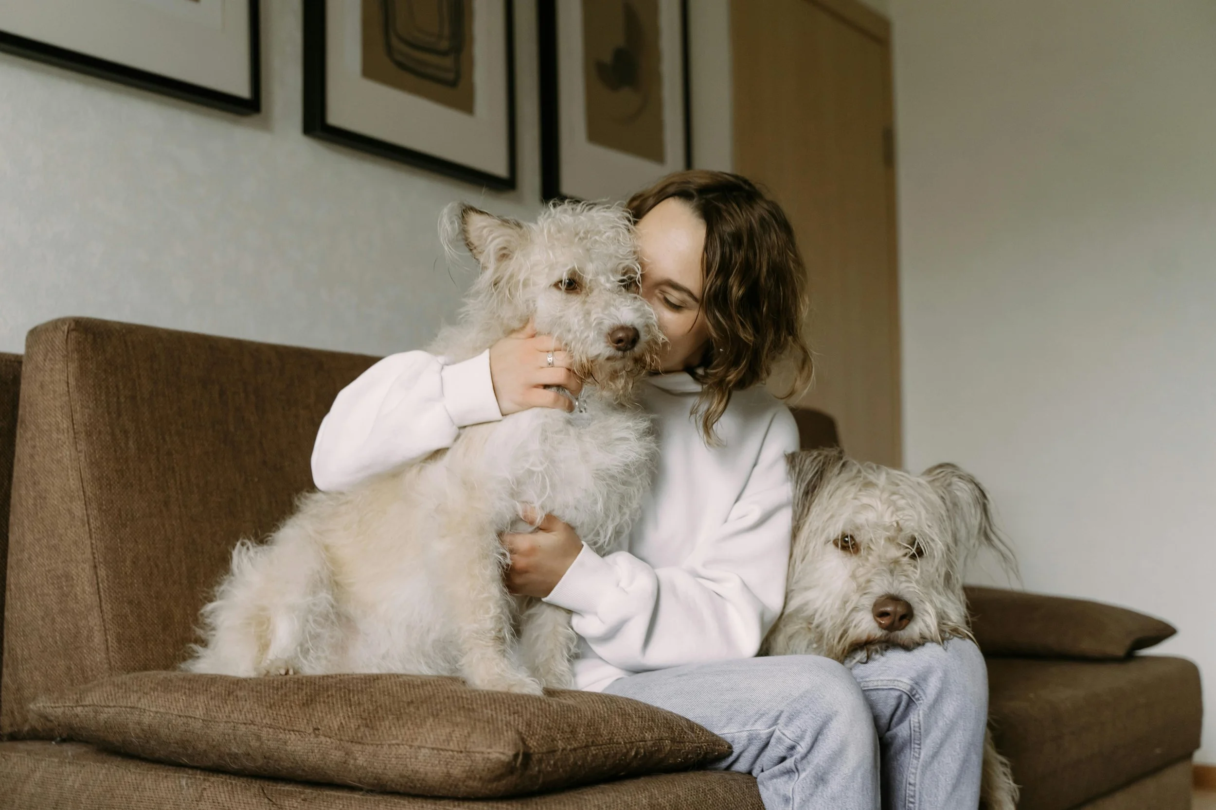 Your Dog Knows Before You Do