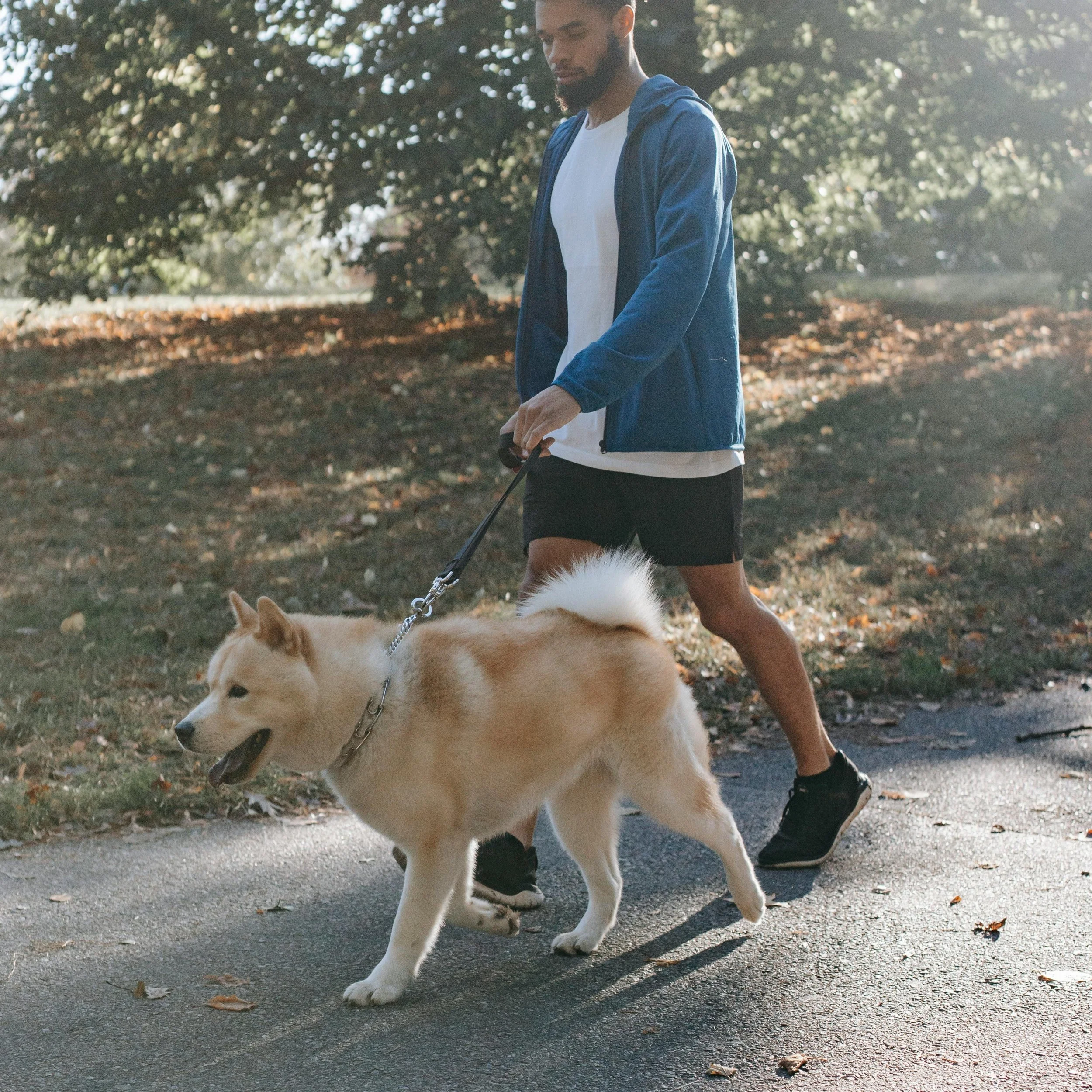 The 5-second rule (it's not about food)

Your dog stops dead on the walk. You feel your jaw tighten.

That's not stubbornness. That's two nervous systems hitting the brakes at the same time.

Dogs freeze when their threat-detection system fires &mdas