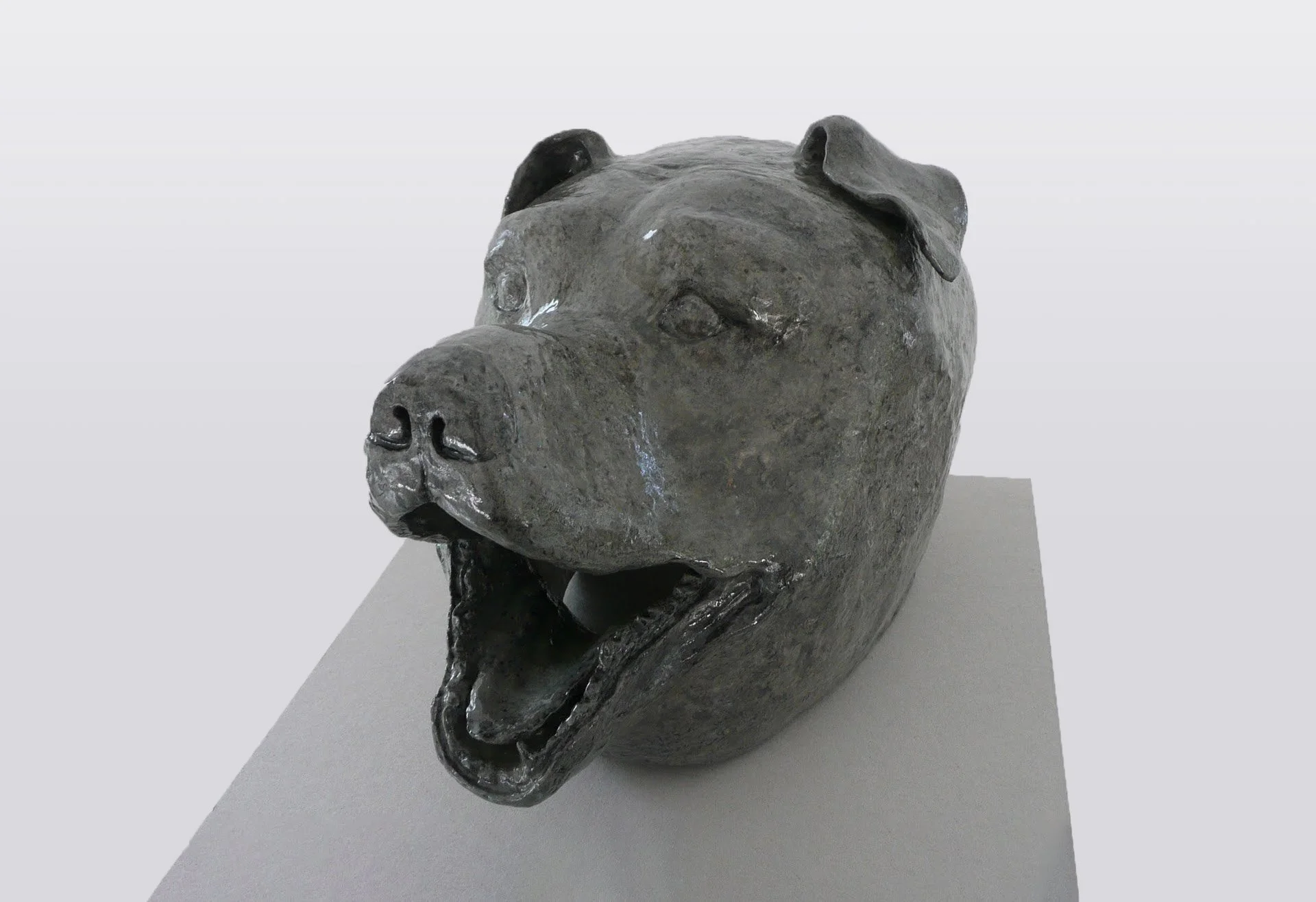 Homo Aestheticus, chien, 2012-2018